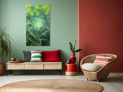 Il Cuore di Aeonium