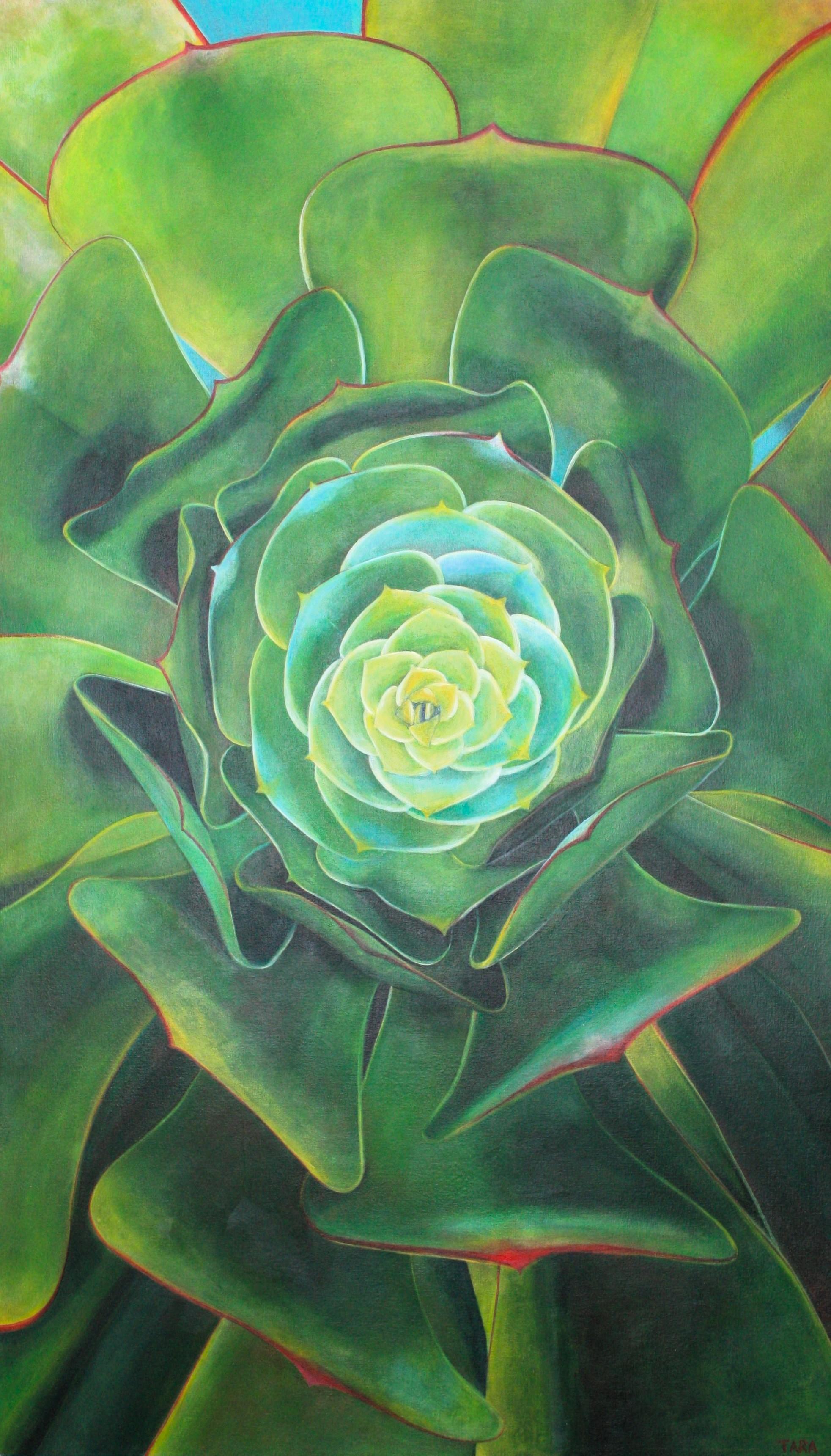 Still-Life Painting Tara Esperanza - Le cœur de l
Aeonium