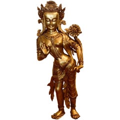 Tara Meditation Deity Loving Mother Star Travel