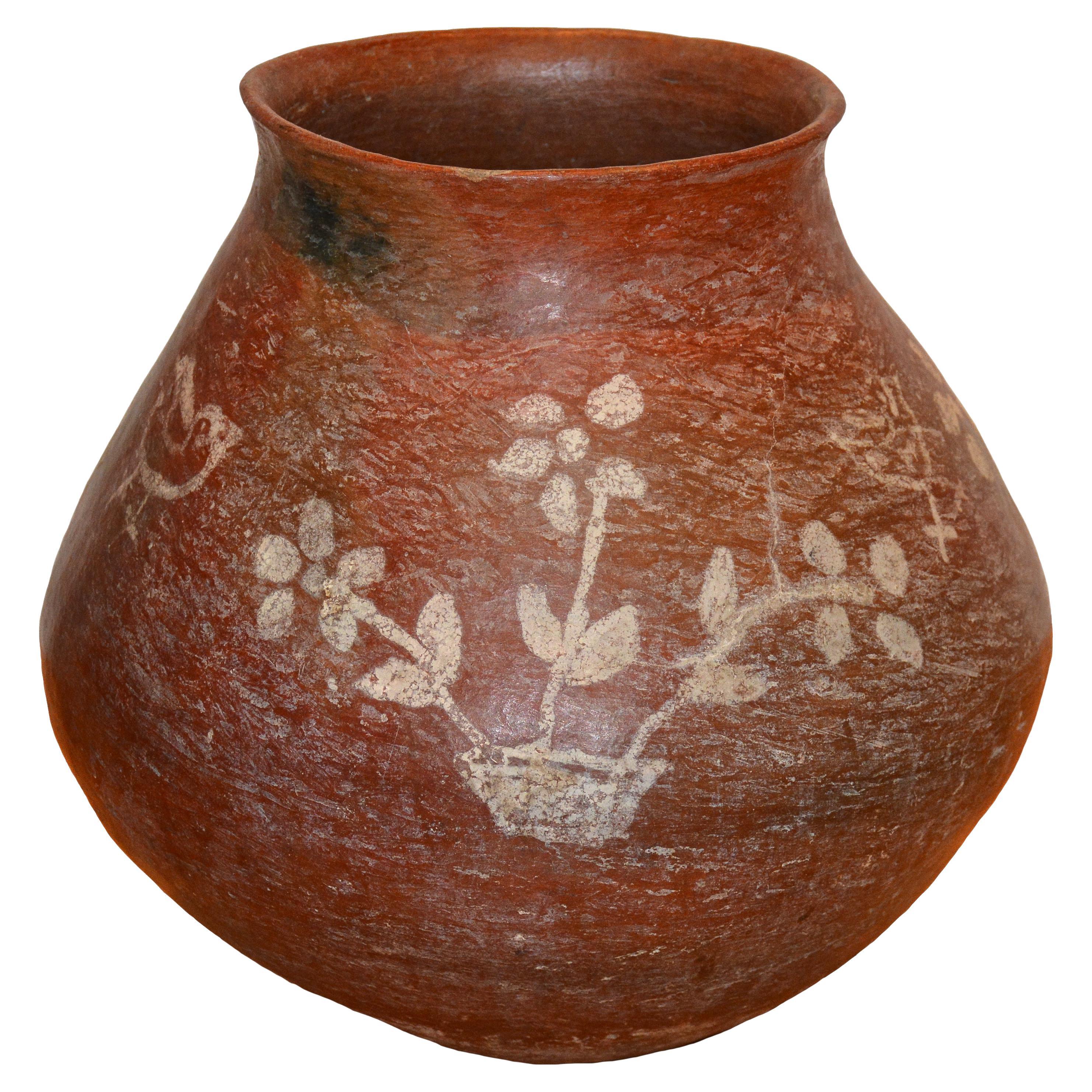 Bote de agua de barro rojo de los indios tarahumaras decorado con pájaros y diseños florales en venta