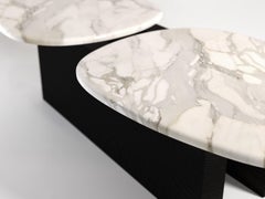Taras Contemporary Premium White Marble and Wood Coffee Table, Made in Italy