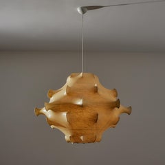 'Taraxacum 2' Pendant by Achille & Giacomo Castiglioni for Flos