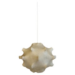 Organic Material Chandeliers and Pendants