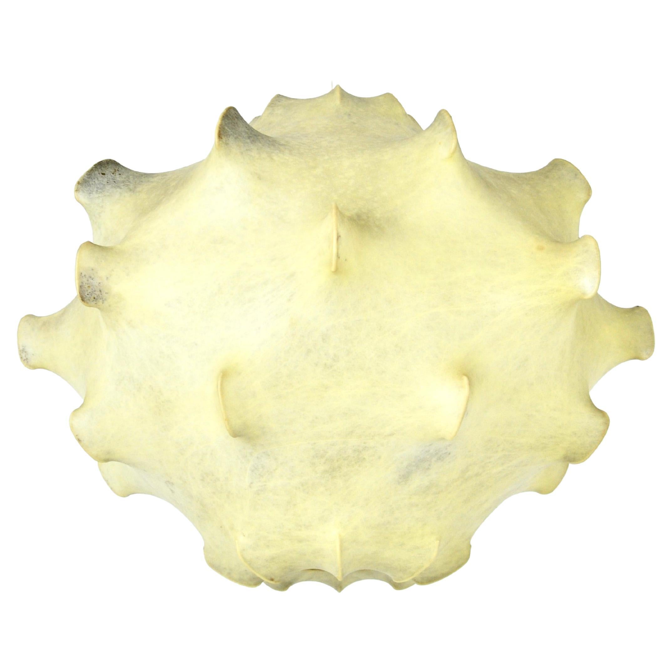Taraxacum hanging lamp by Achille & Pier Giacomo Castiglioni for Flos, 1960s