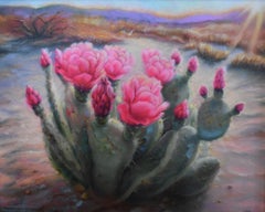 CACTUS EN FLEURS "TICKLED PINK" AUX COULEURS ÉCLATANTES