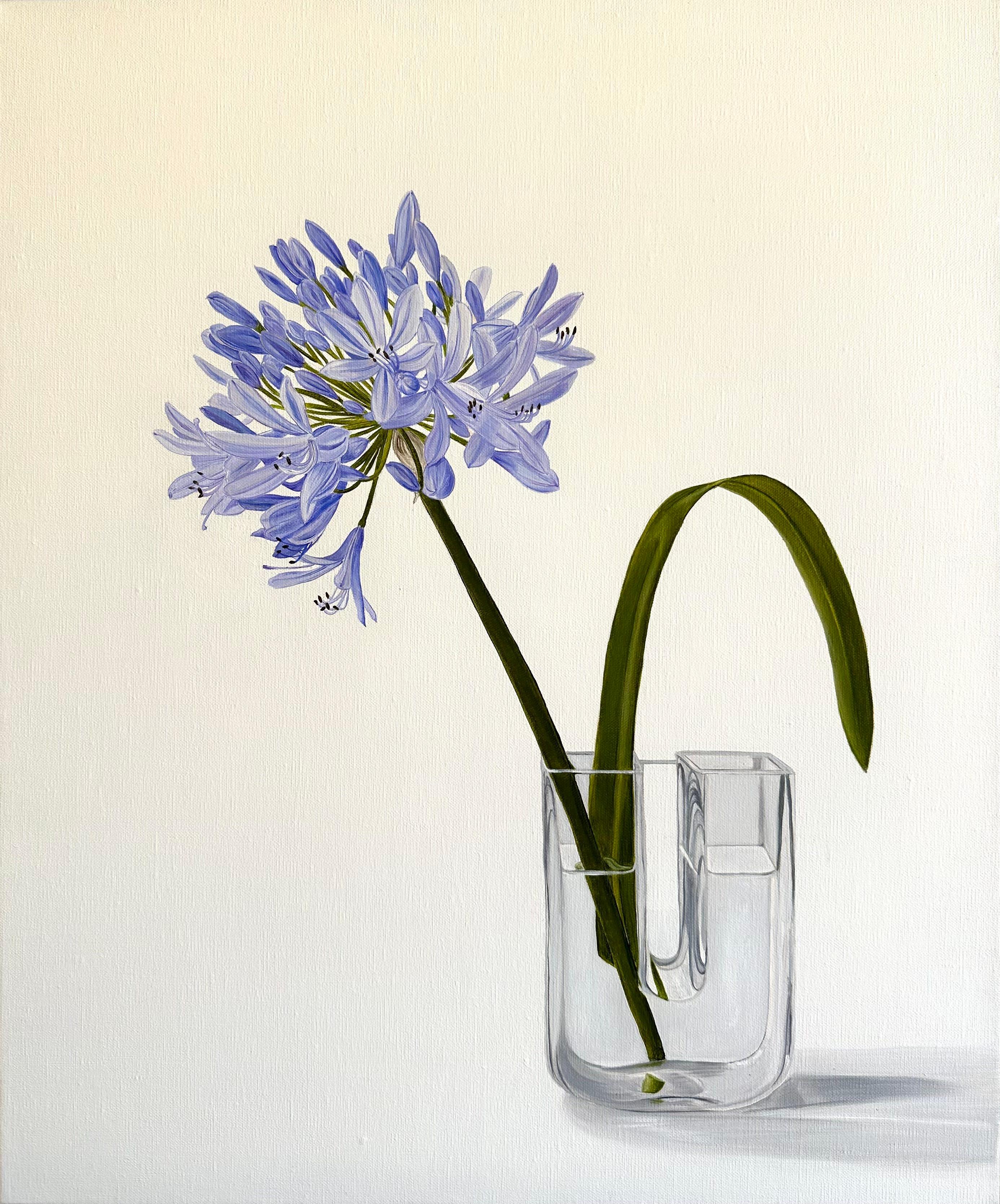 Original Botanical Oil Painting by Tarn McLean.
The Agapanthus flower is native to South Africa and has been painted with lifelike colours of blues, violets and cool greens, placed in a vintage Swedish Boda U-shaped vase. The work is reductive in