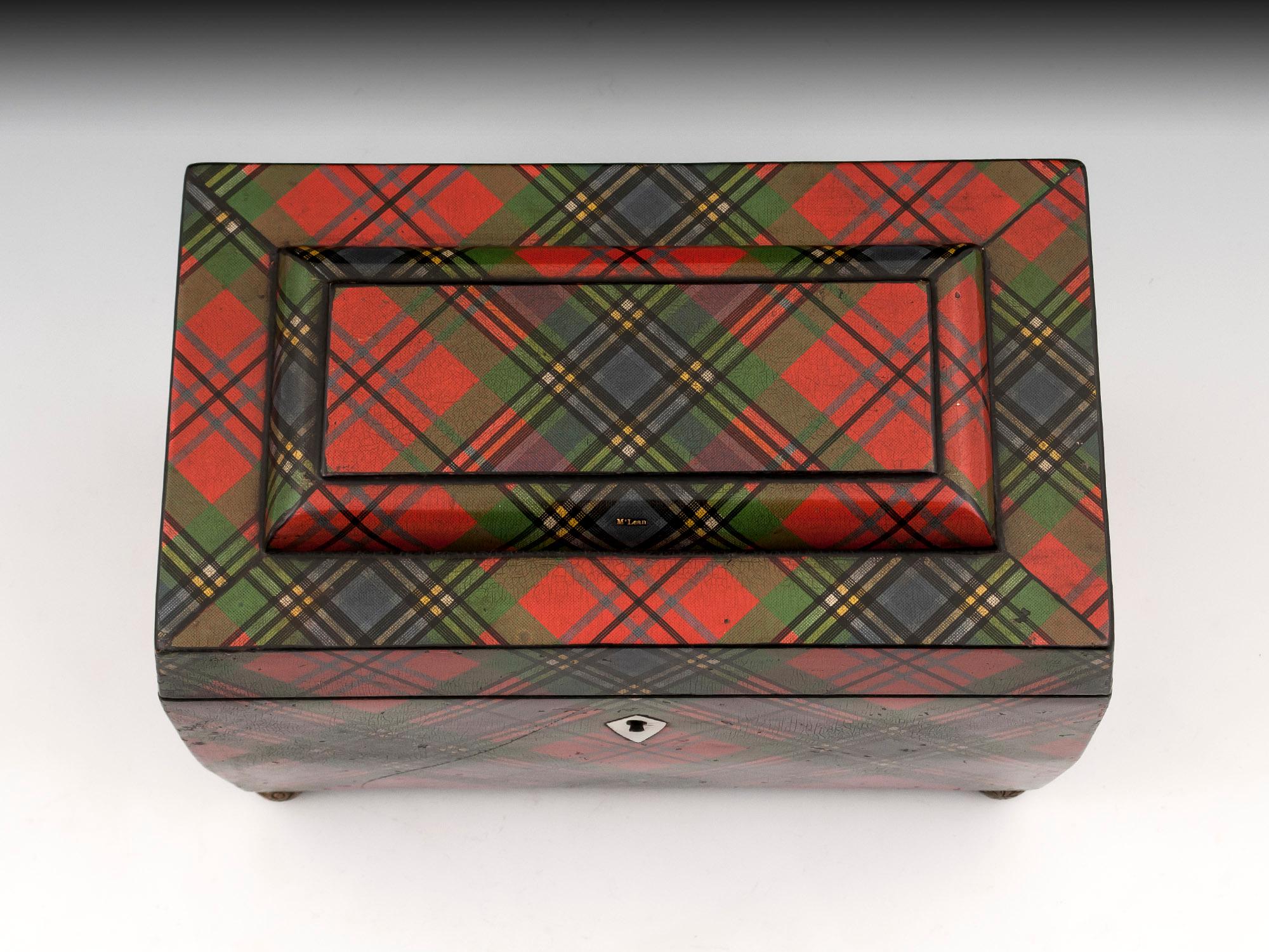 William IV Tartan Ware McLean Antique Tea Caddy Brass Ball Feet, 19th Century For Sale