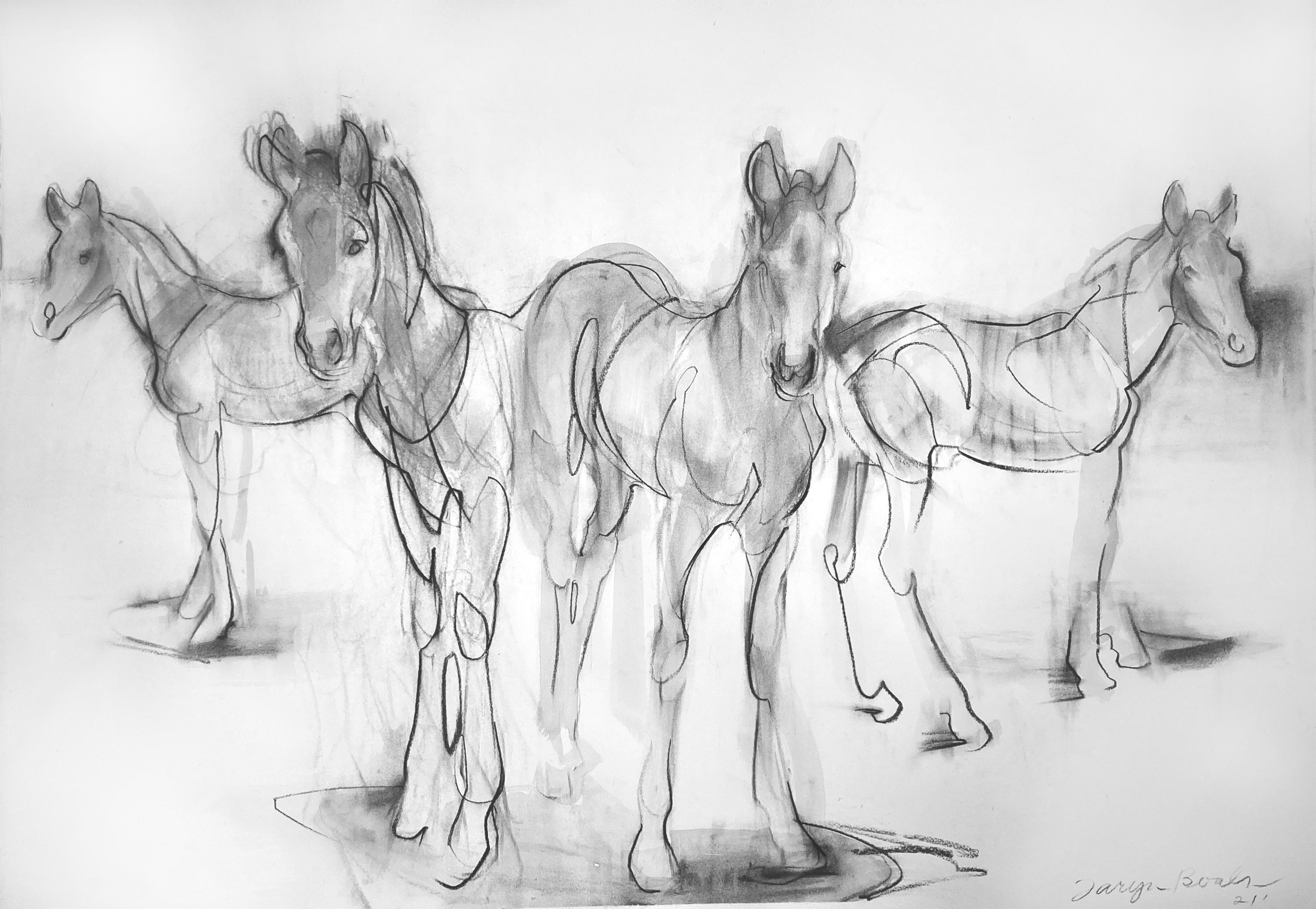 Summer Foals - Art by Taryn Boals