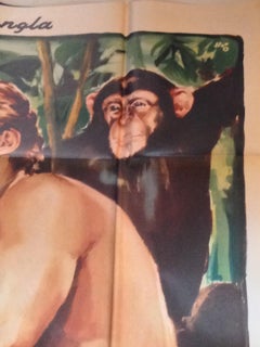 Tarzan Fontana Magica Re Jungla Sholem Barker Joyce Cita Film Manifesto Original