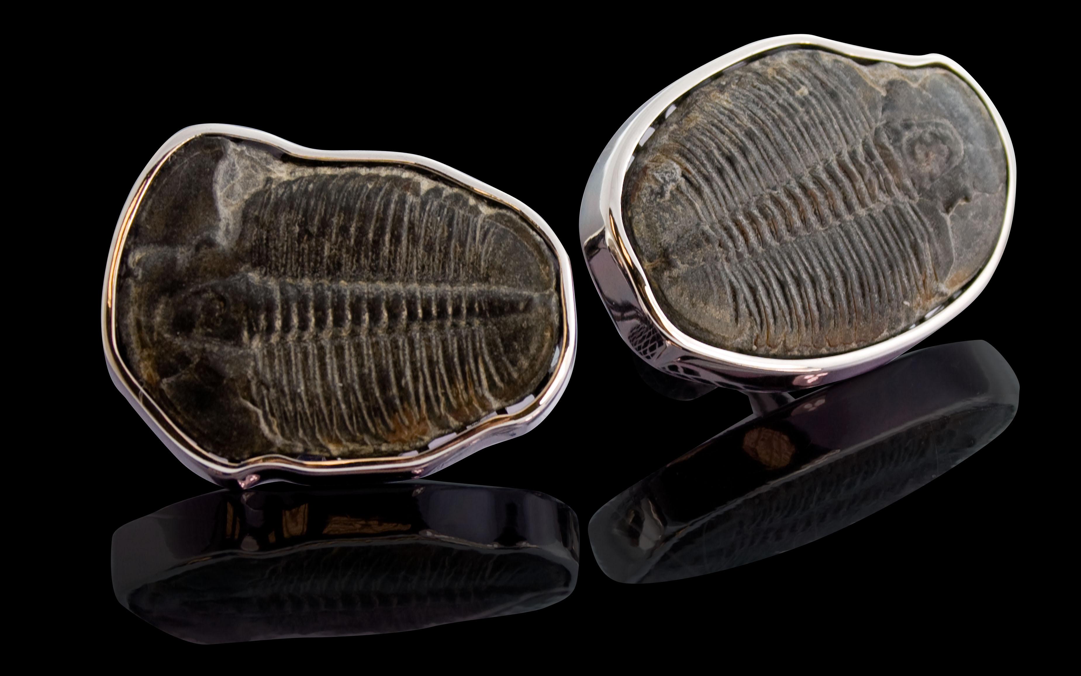 Tateossian Trilobytes Cufflinks set in 18 Karat White Gold - Limited Edition 1/1 In New Condition In Fulham business exchange, London