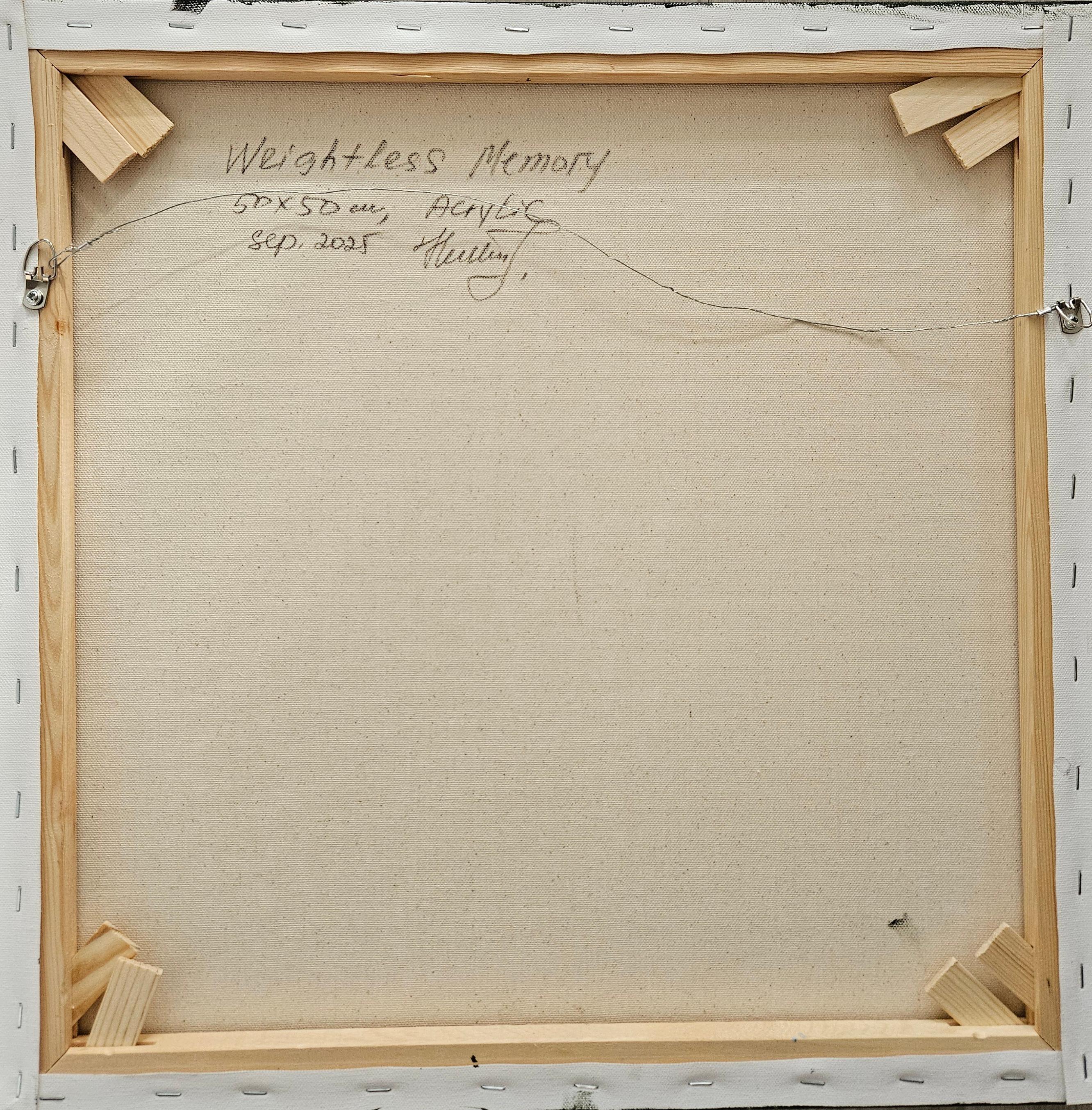 Weightless Memory For Sale 3