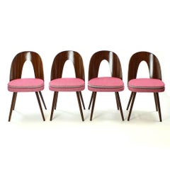 Tatra Chairs by Antonin Suman, Czechoslovakia, circa 1960, Set of Four