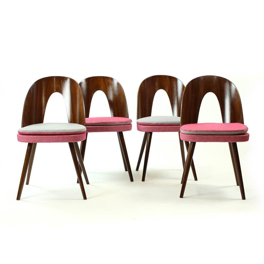 Mid-Century Modern Tatra Chairs by Antonin Suman, Czechoslovakia, circa 1960, Set of Four For Sale
