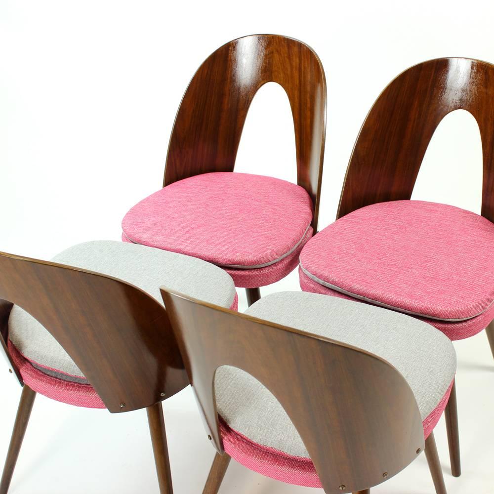 Tatra Chairs by Antonin Suman, Czechoslovakia, circa 1960, Set of Four In Excellent Condition For Sale In Zohor, SK