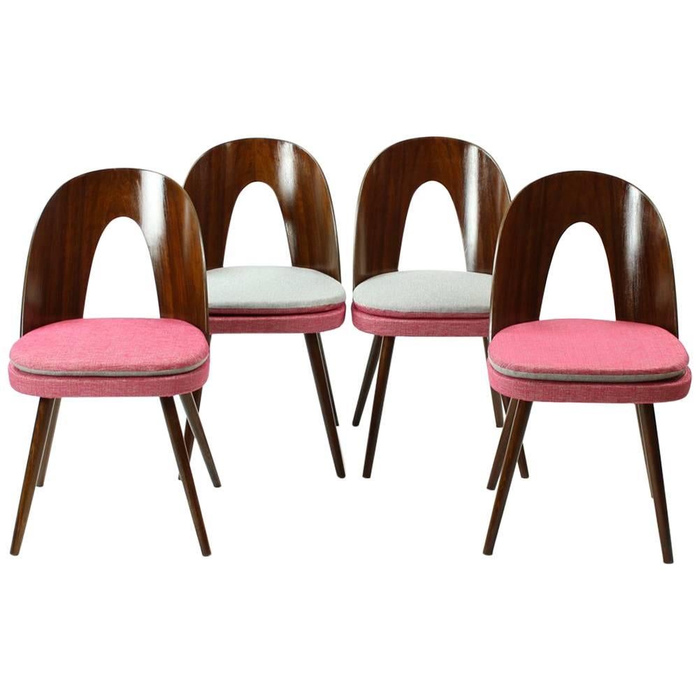 Tatra Chairs by Antonin Suman, Czechoslovakia, circa 1960, Set of Four For Sale