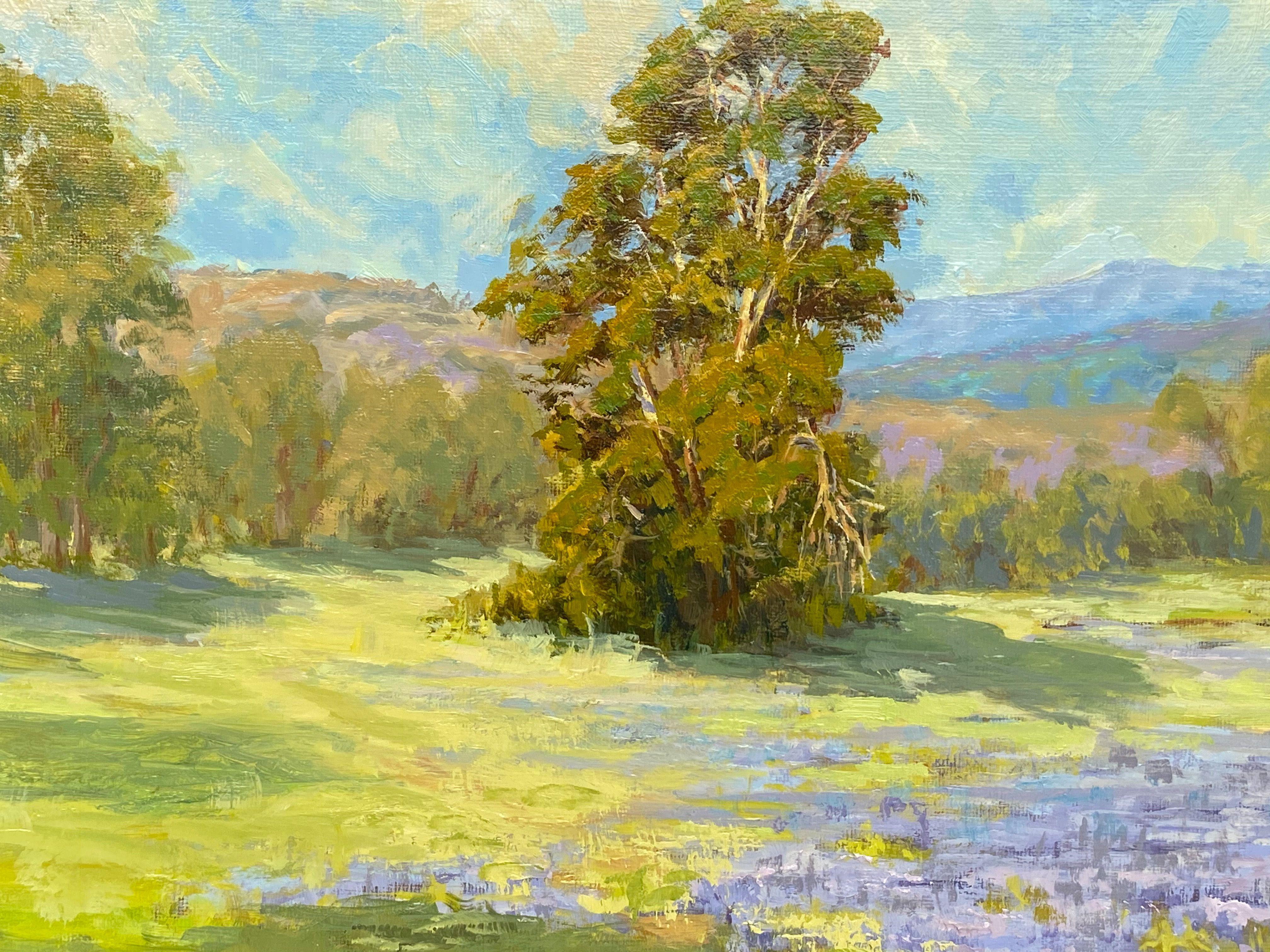 From the California hills to the coast of Maine, Lupine is one of America's largest and most famous flower groups, both in the wild and in gardens. This studio painting is based on my plein air (painted on location) study. I was inspired by the