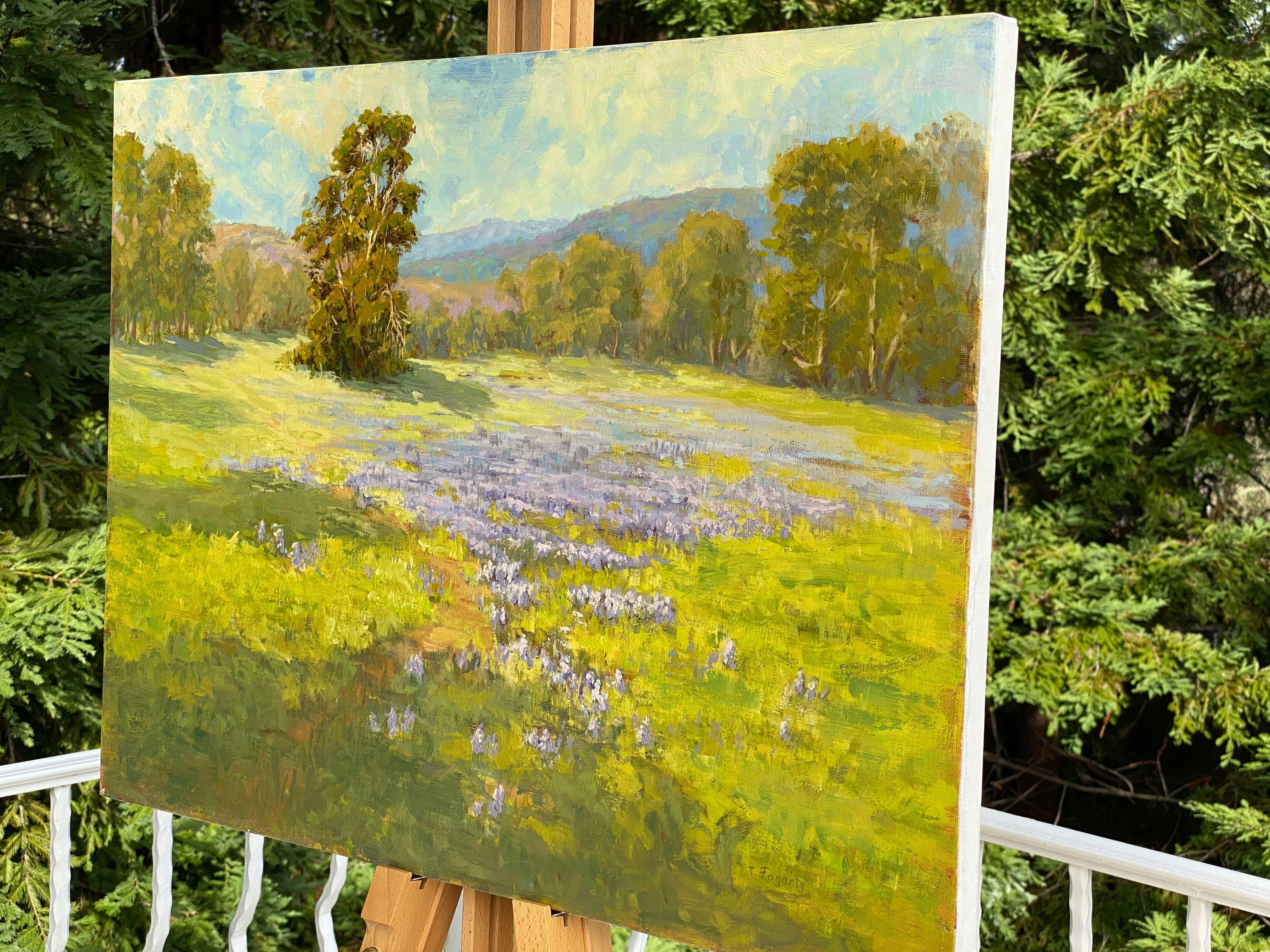 From the California hills to the coast of Maine, Lupine is one of America's largest and most famous flower groups, both in the wild and in gardens. This studio painting is based on my plein air (painted on location) study. I was inspired by the