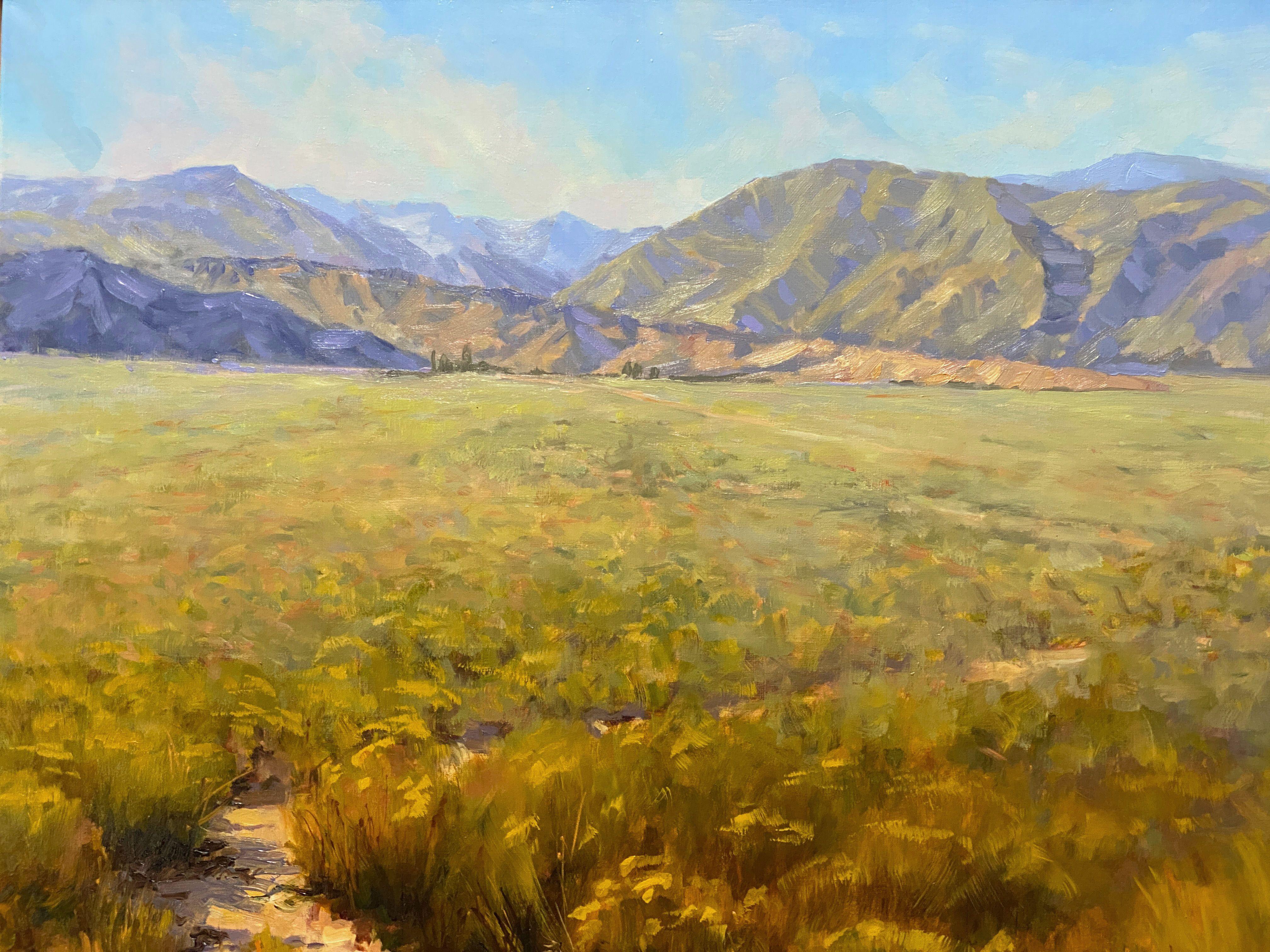 Paisaje Sierra, Pintura, Óleo sobre lienzo - Painting de Tatyana Fogarty