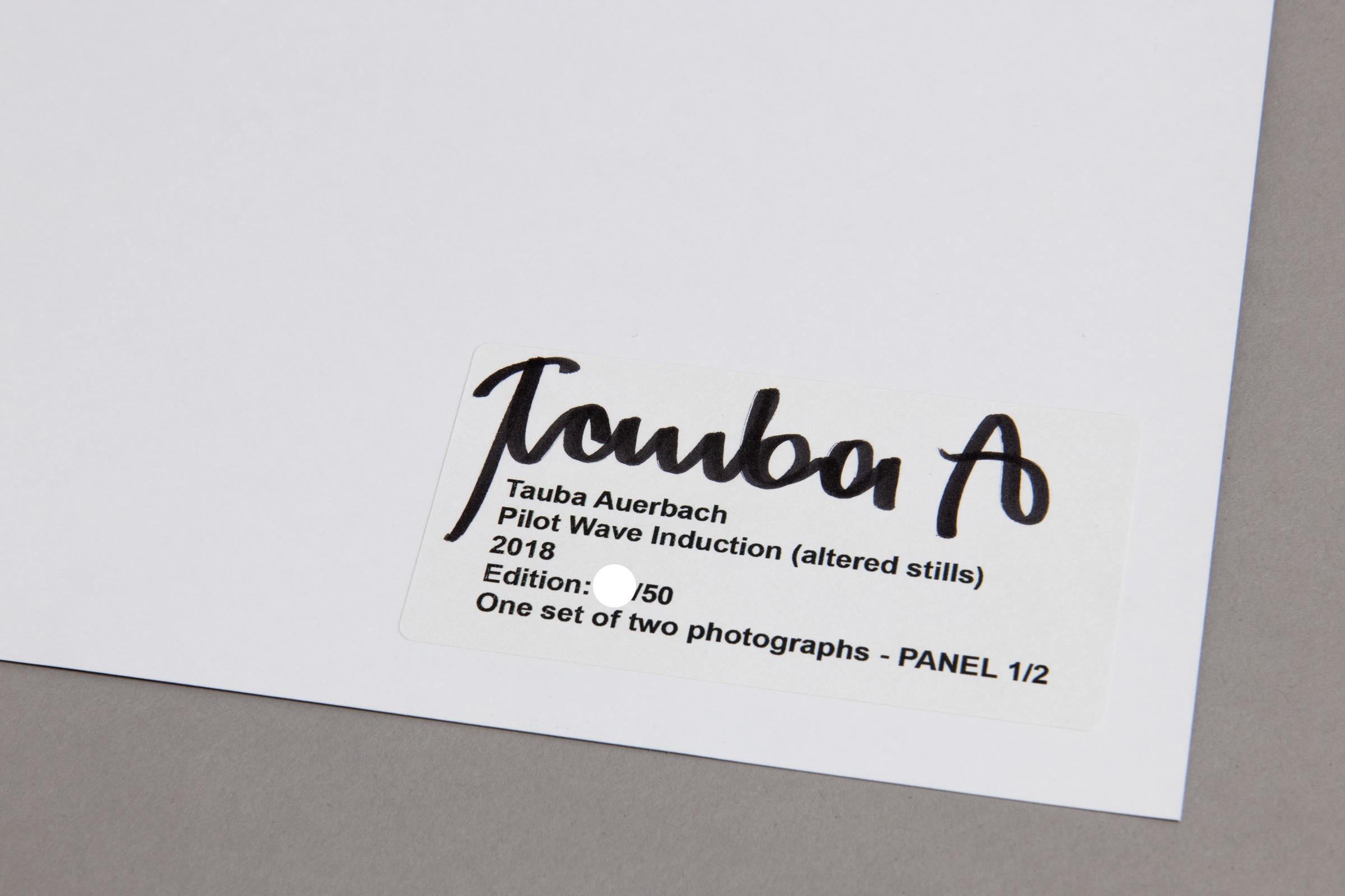 Inducción de Onda Piloto (Fotogramas Alterados), Conjunto de dos C-Prints, Arte Contemporáneo 1