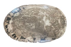 Taupe, Black, Cream Extra Large Petrified Wood Platter, Indonesia, Prehistoric