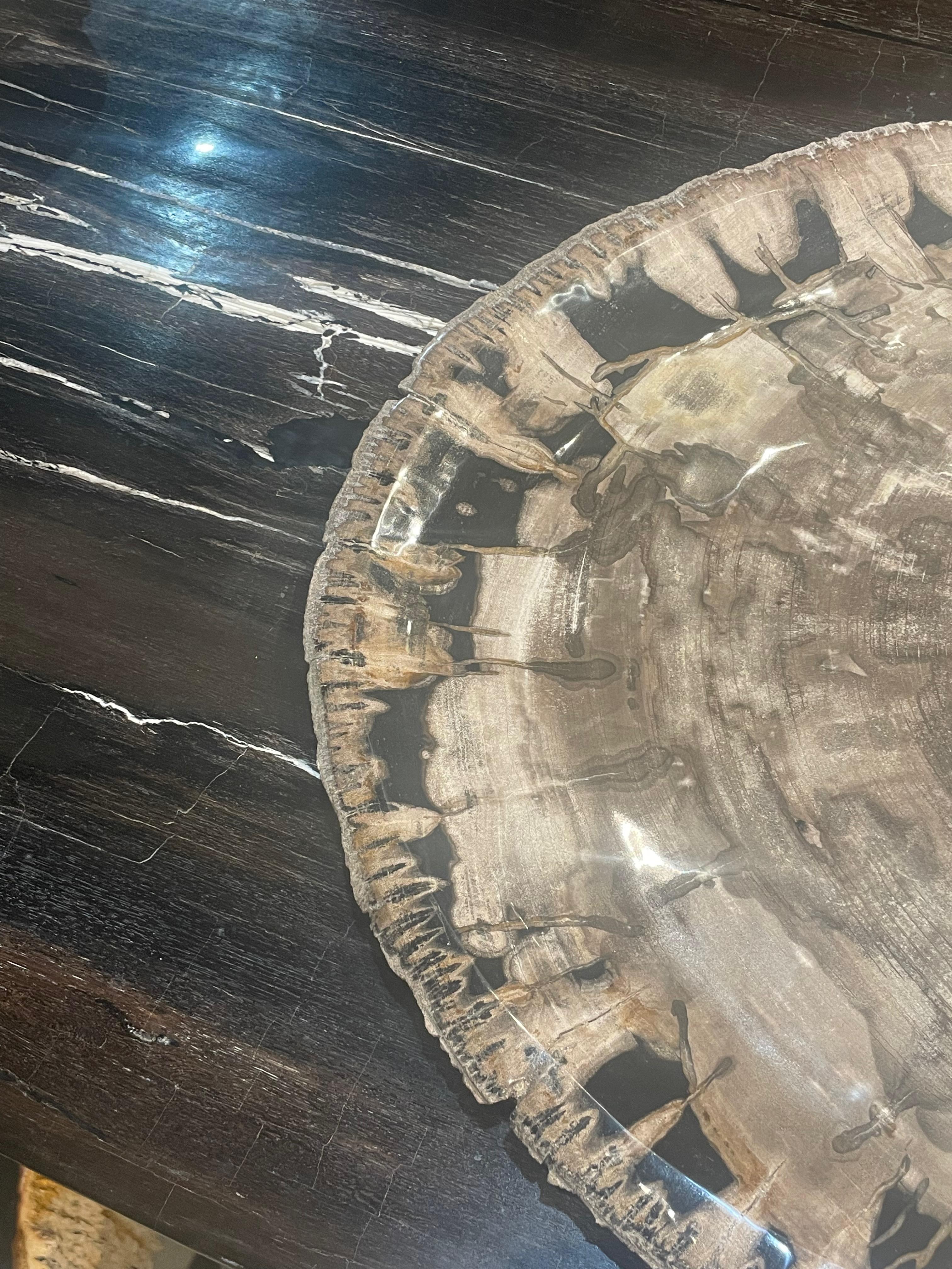 Indonésien Taupe, Noir, Crème Très grand plat en Wood Wood pétrifié, Indonésie, Préhistorique en vente