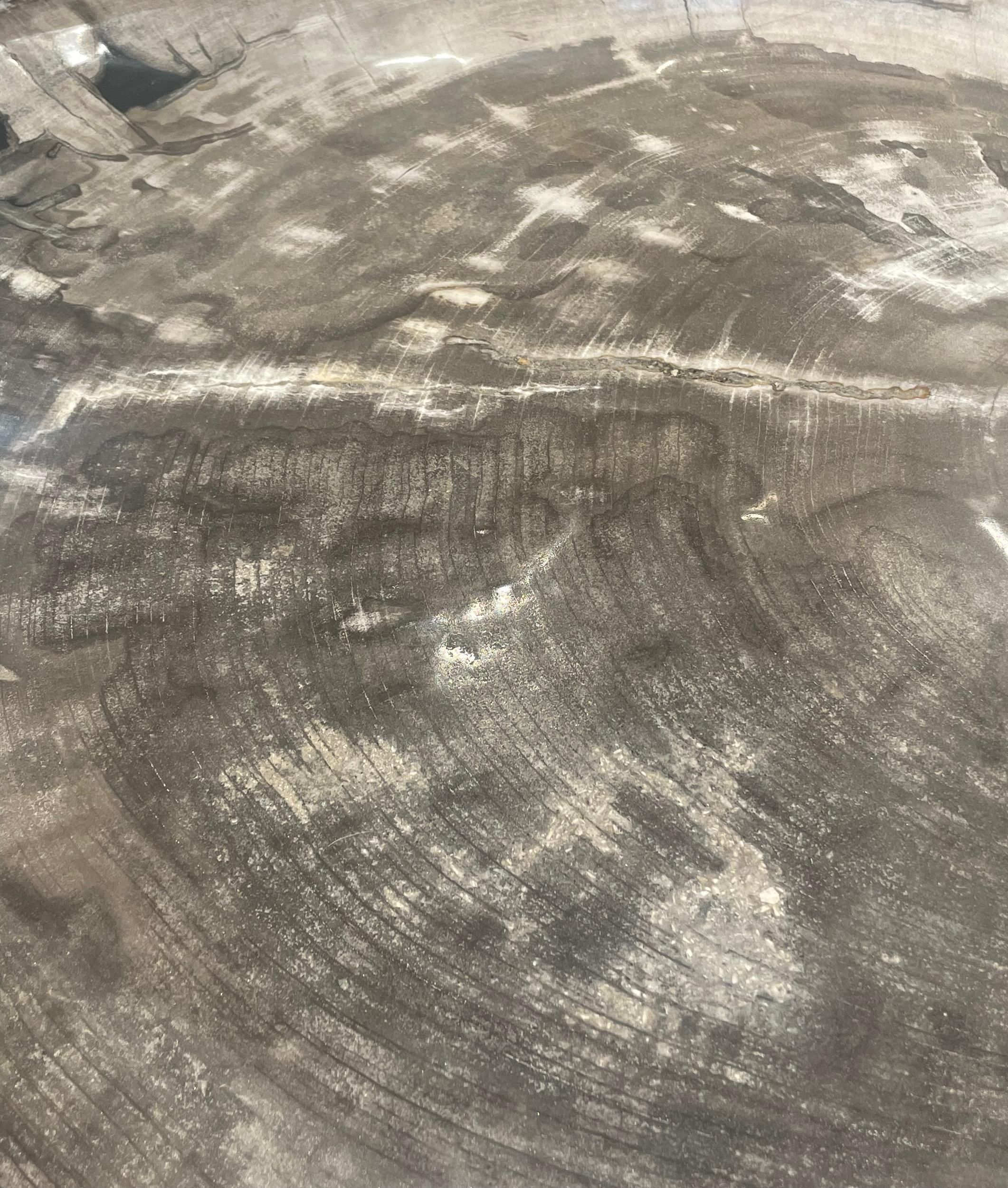 XVIIIe siècle et antérieur Taupe, Noir, Crème Très grand plat en Wood Wood pétrifié, Indonésie, Préhistorique en vente