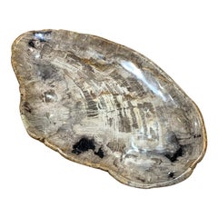 Taupe Colored Petrified Wood Shallow Bowl, Indonesia, Contemporary