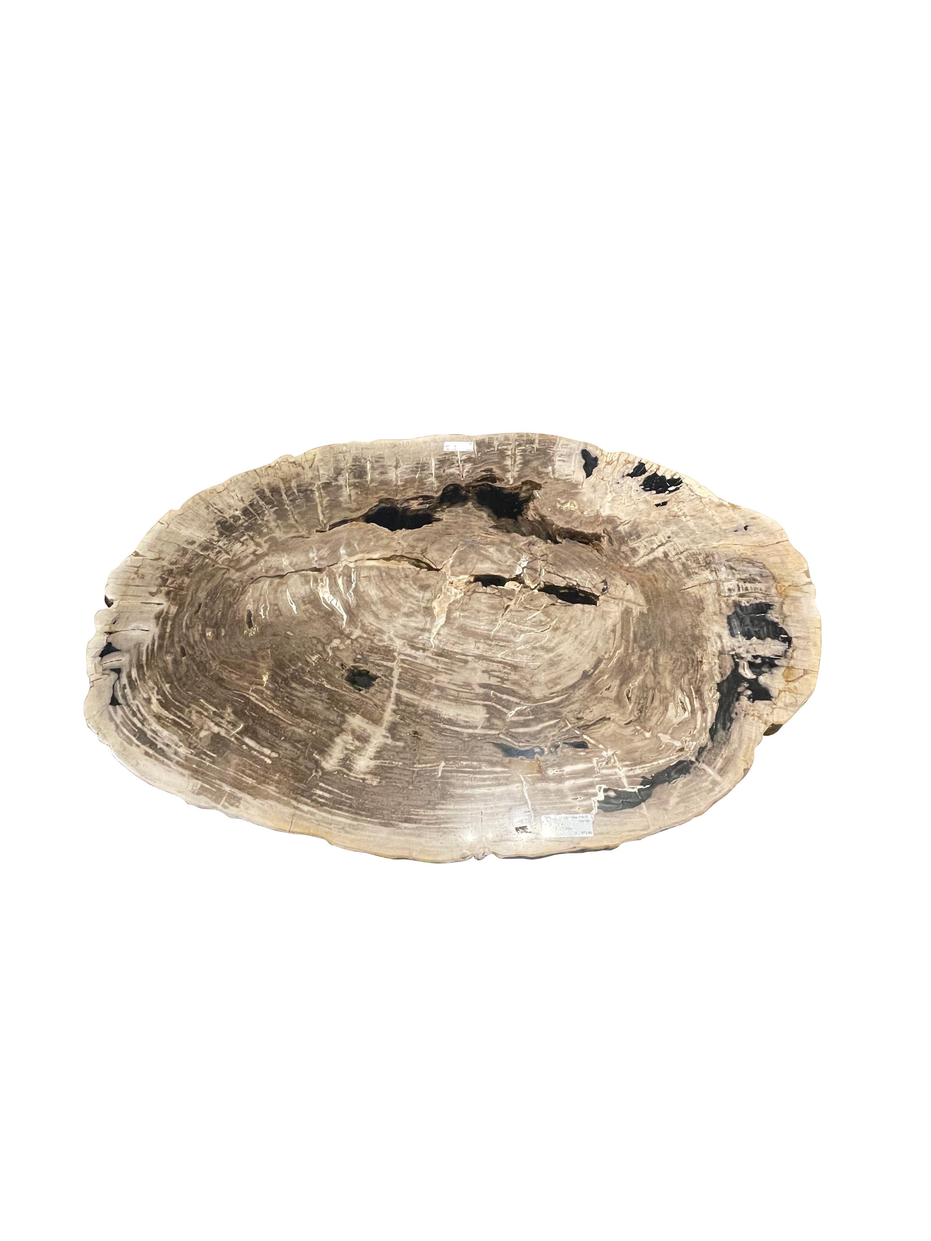 Indonesiano Tavolino in Wood Wood pietrificato di grandi dimensioni, Indonesia, contemporaneo in vendita