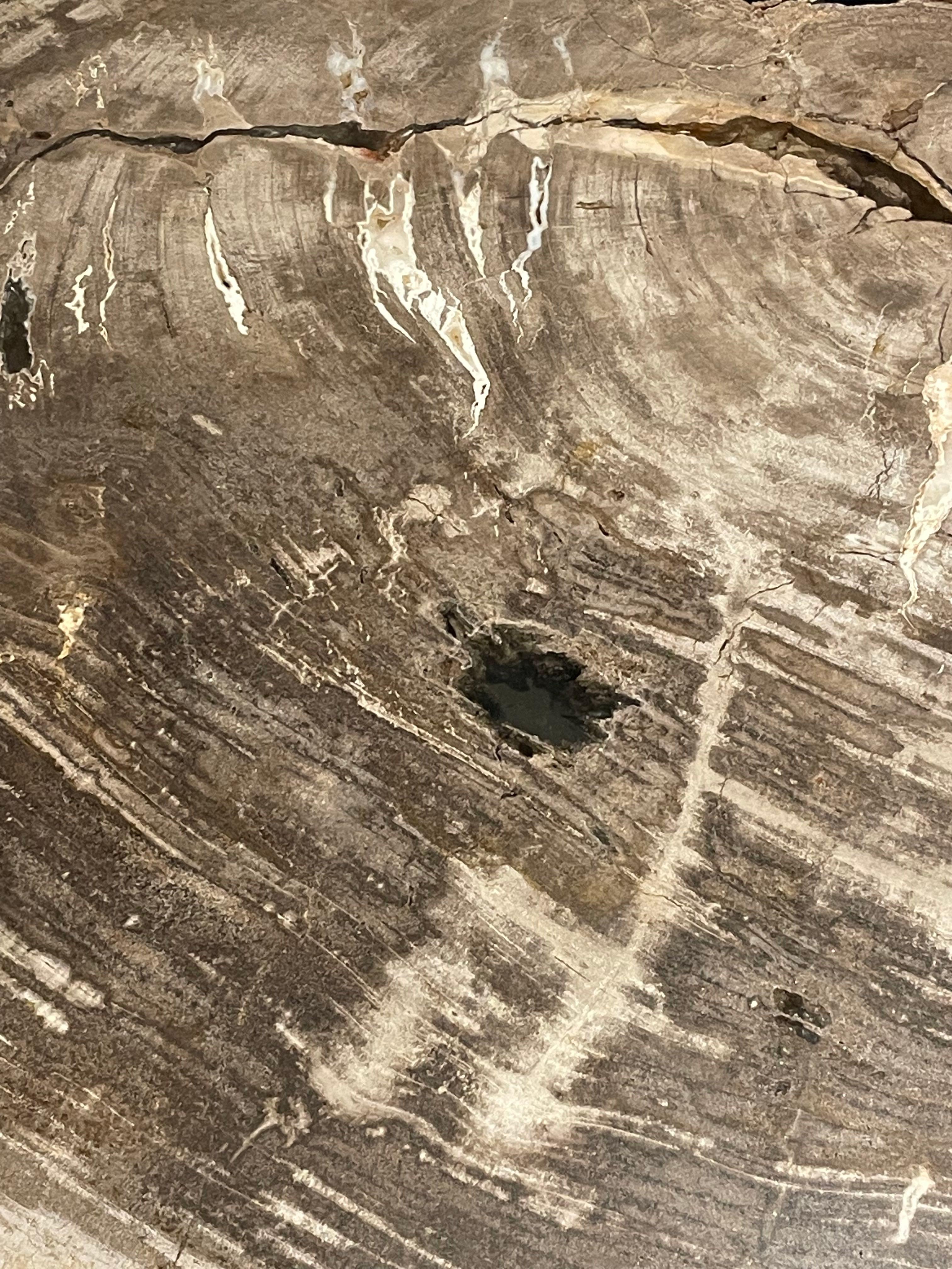 Tavolino in Wood Wood pietrificato di grandi dimensioni, Indonesia, contemporaneo In condizioni Nuovo in vendita a New York, NY