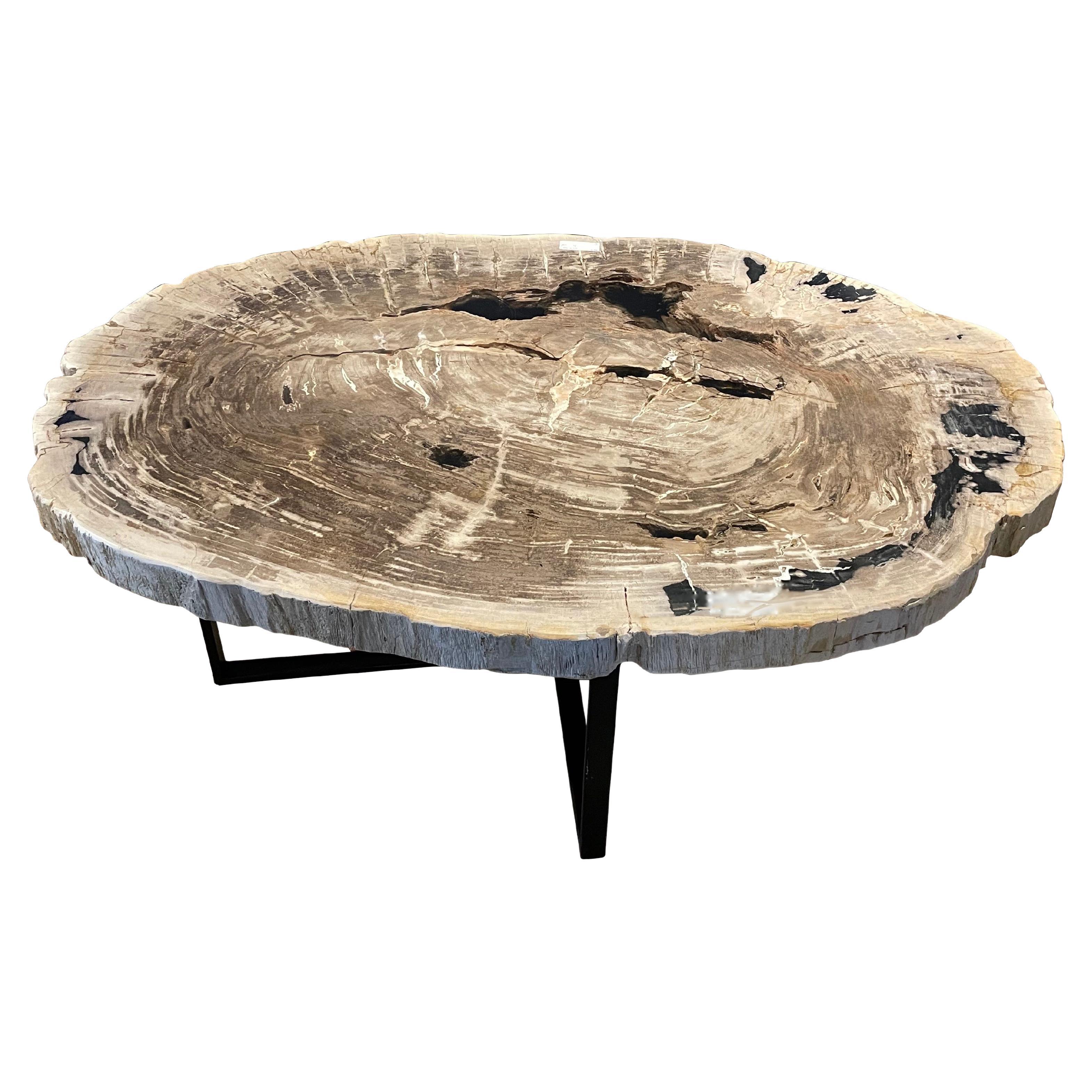 Taupe, Cream, Black Large Petrified Wood Coffee Table, Indonesia, Contemporary For Sale