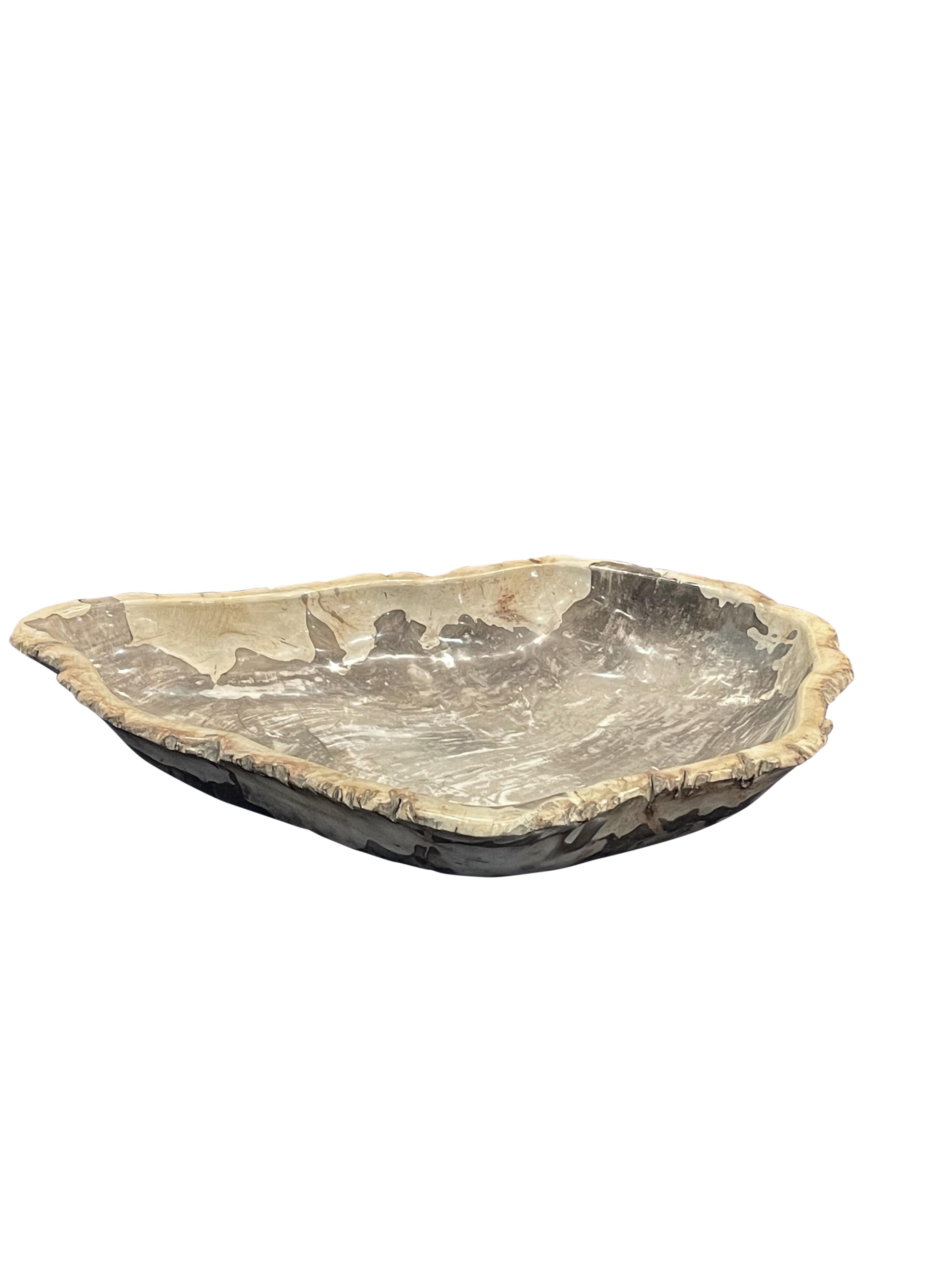 Contemporary Indonesian large petrified wood bowl.
Taupe in color.
From a collection of petrified wood bowls and platters.
