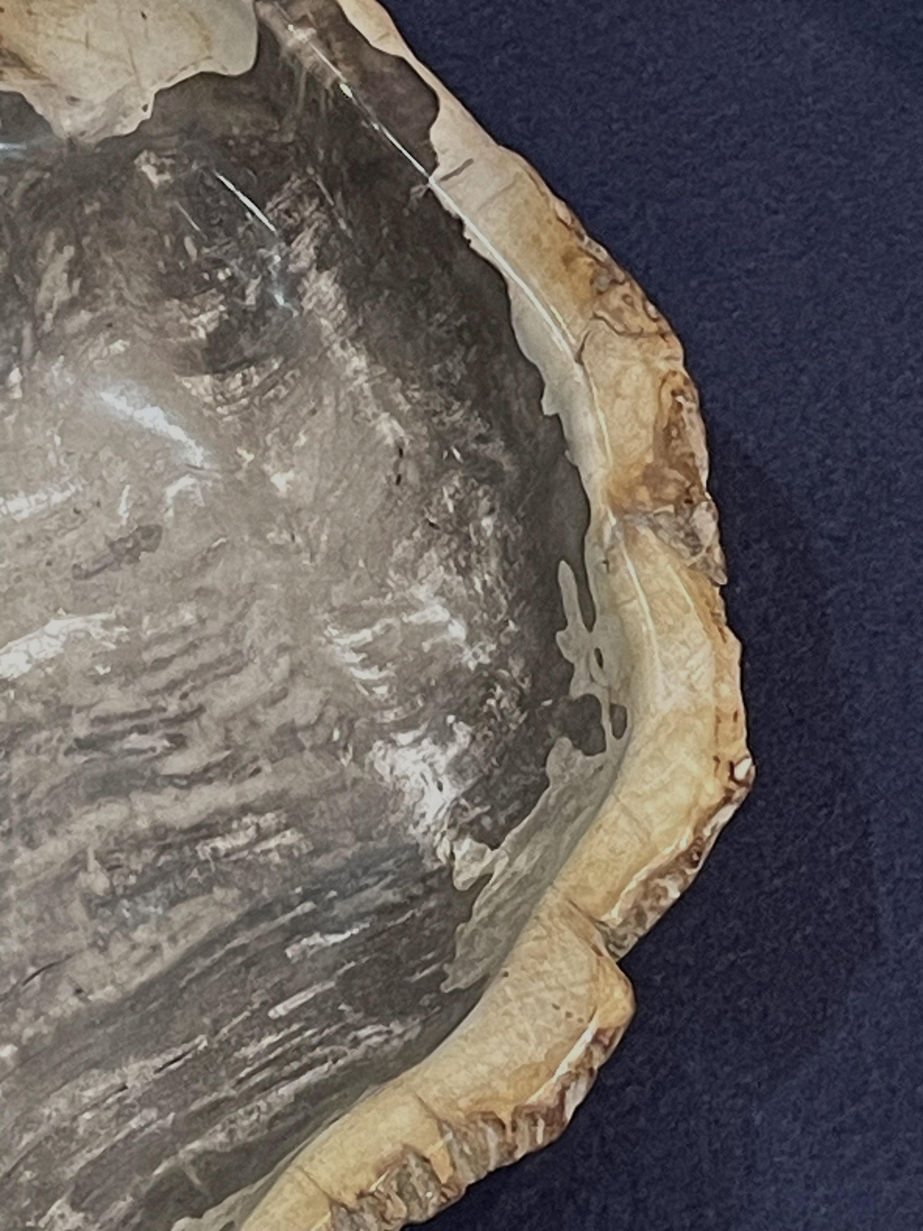 Indonesian Taupe Large Petrified Wood Bowl, Indonesia, Contemporary