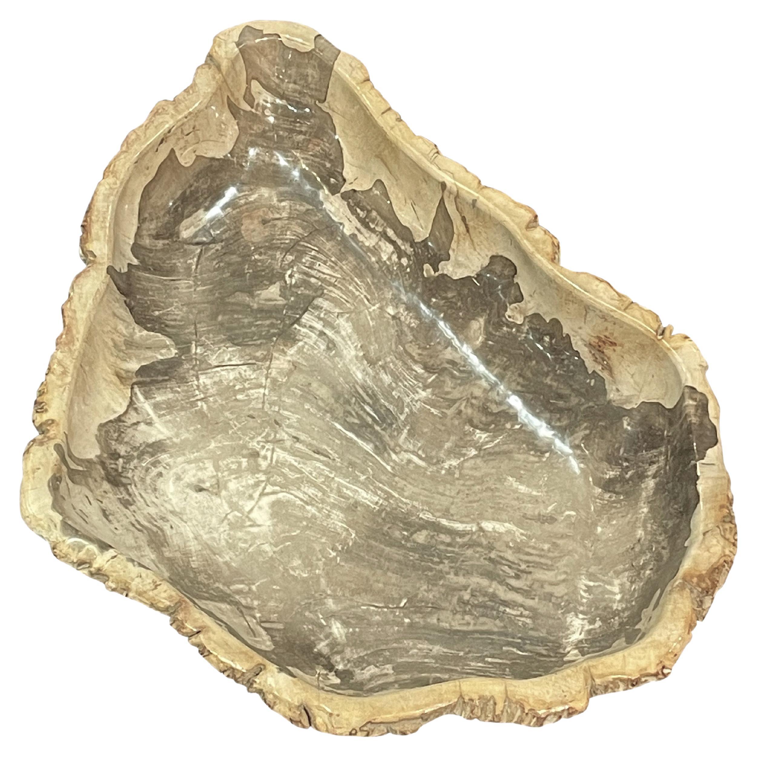 Taupe Large Petrified Wood Bowl, Indonesia, Contemporary