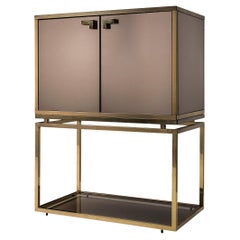 Taupe Mirrored Cabinet with Brass Details 