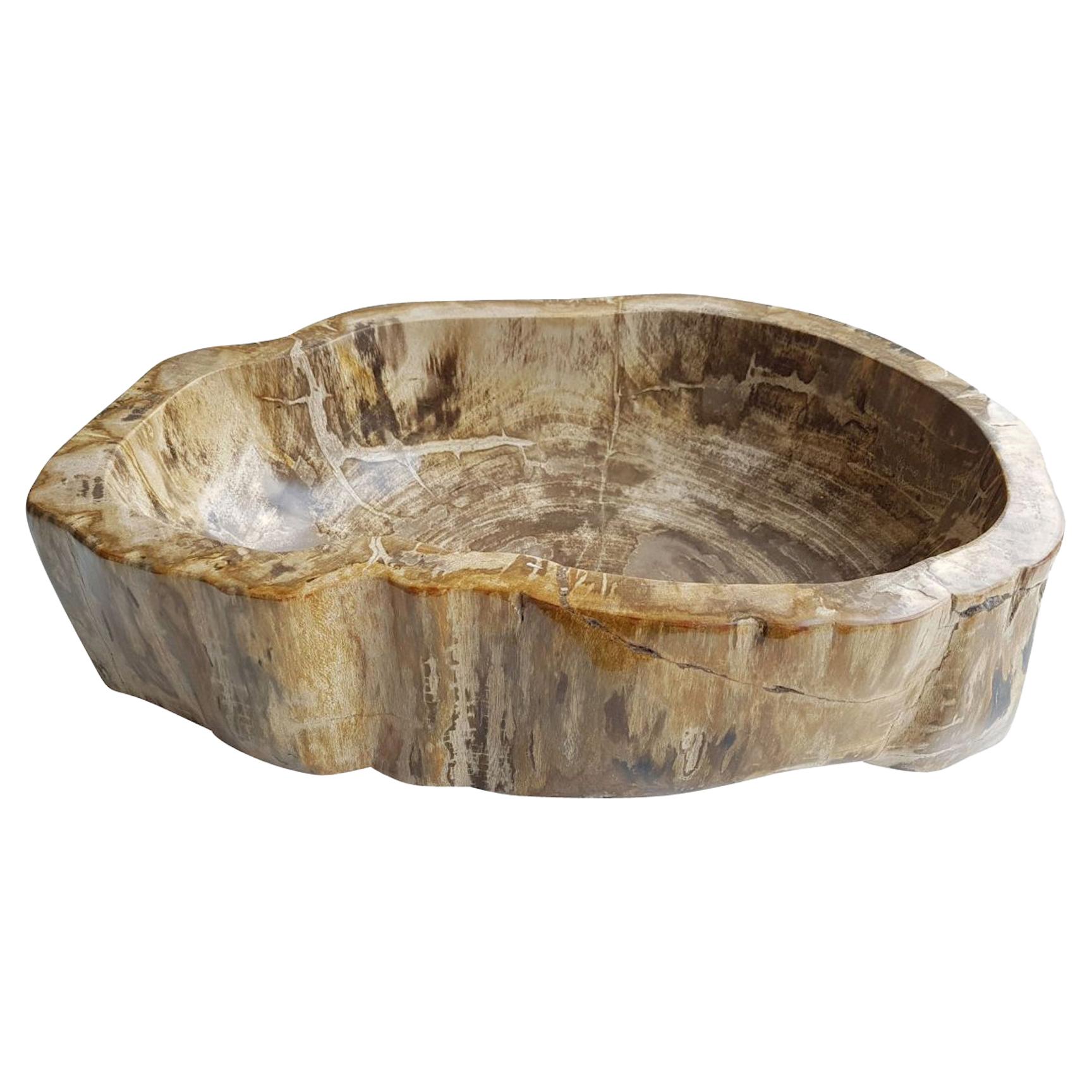 Taupe Petrified Wood Shallow Bowl, Indonesia, Prehistoric at 1stDibs