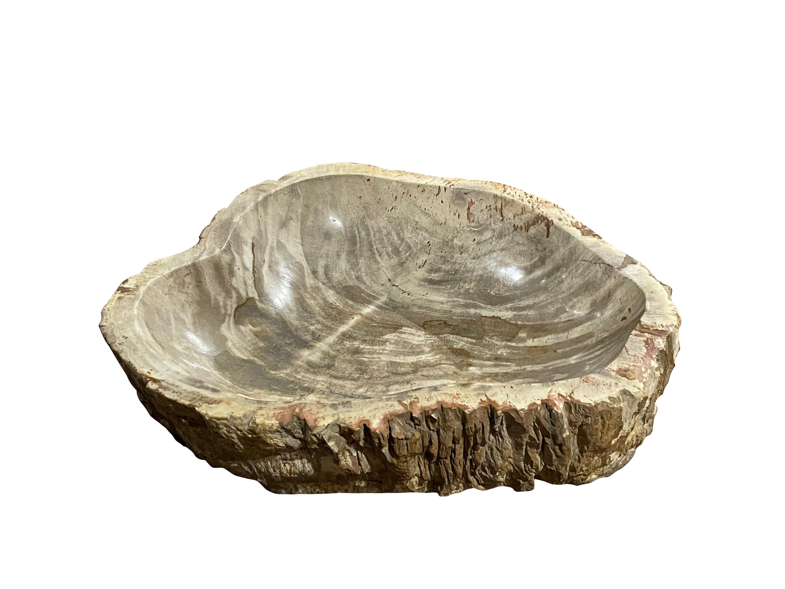 Contemporary Indonesian petrified wood bowl with chiseled rough edges.
Polished smooth interior.

