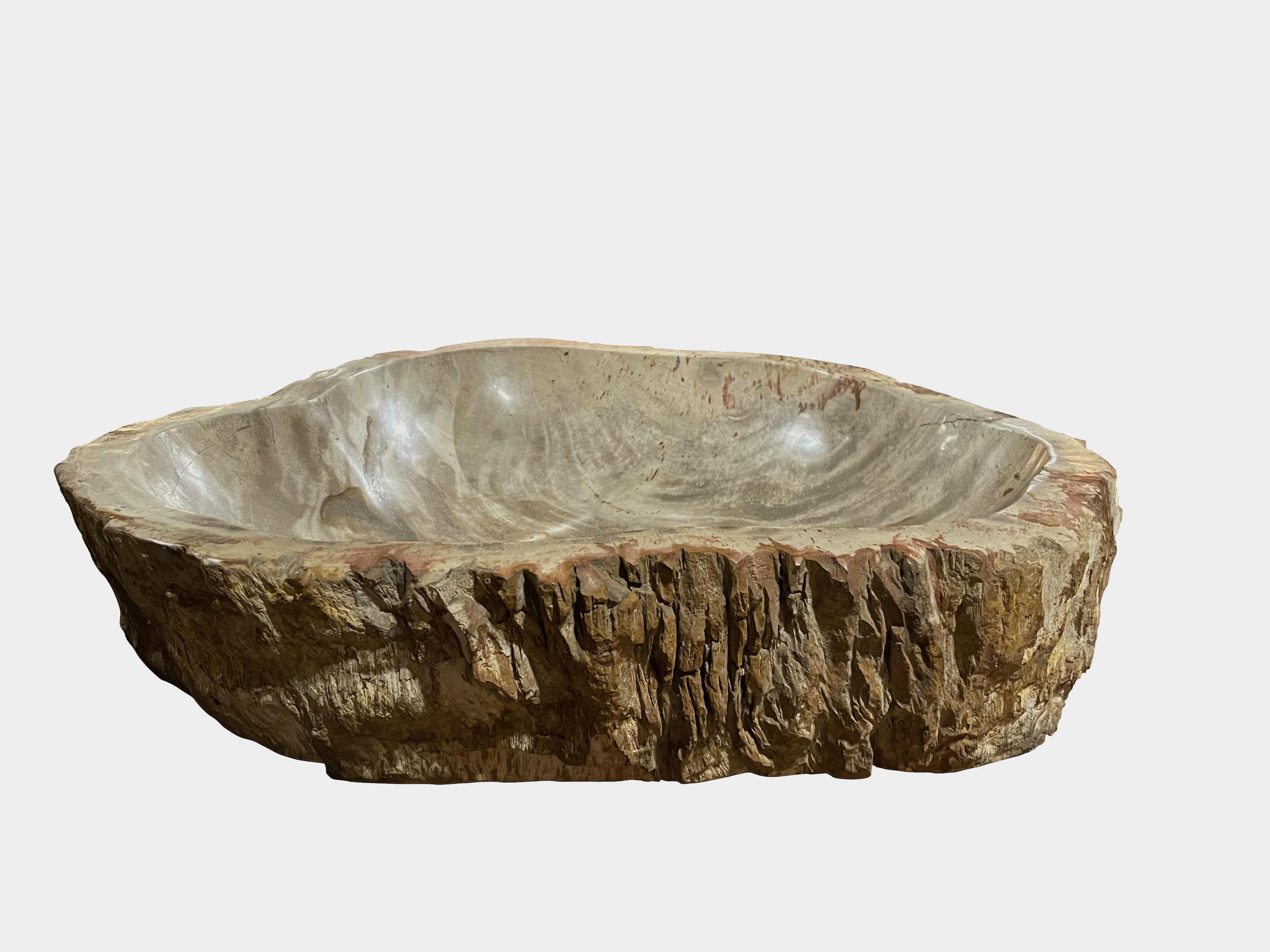 Indonesian Taupe Shades Petrified Wood Bowl, Indonesia, Contemporary For Sale