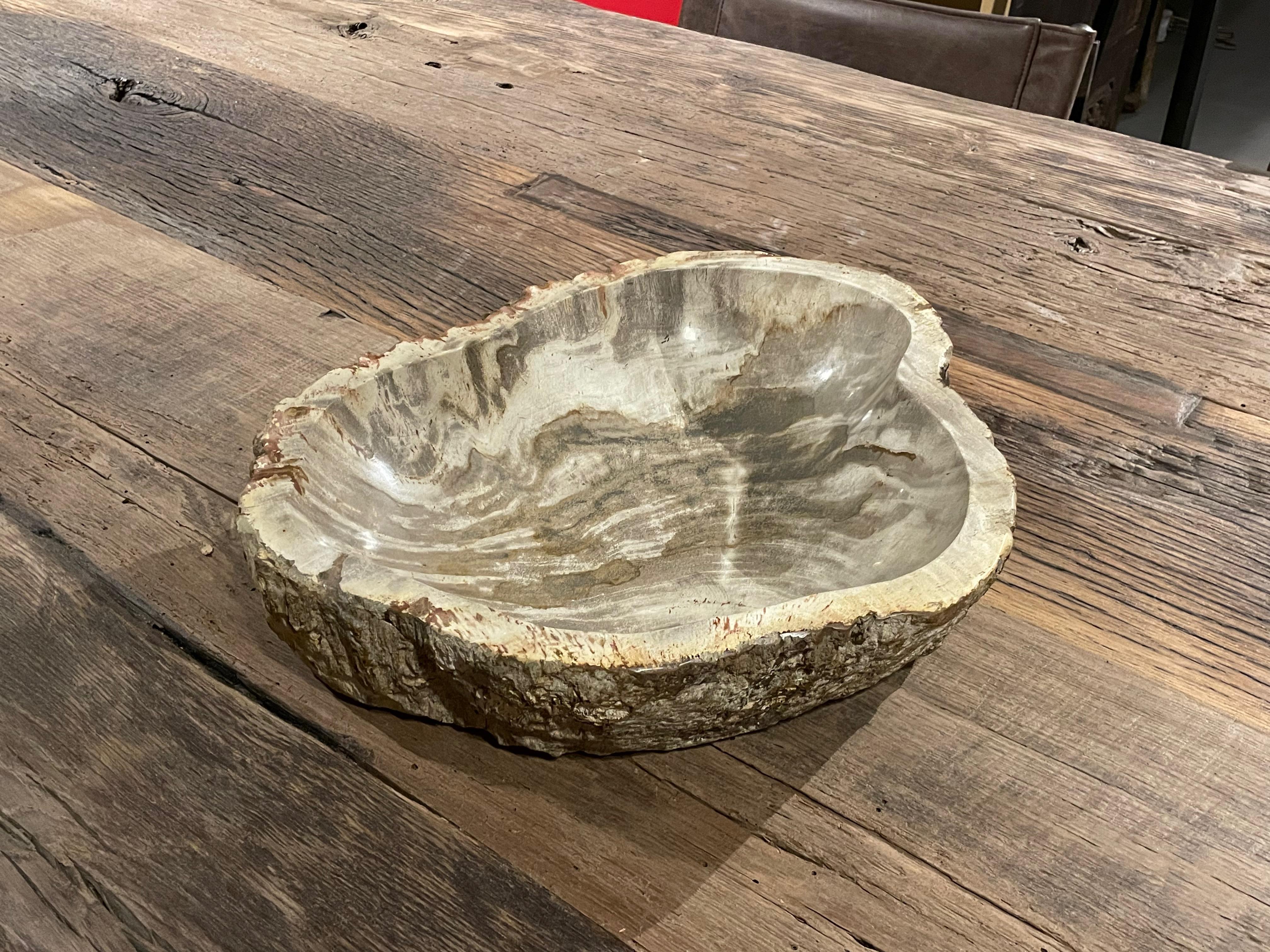 Taupe Shades Petrified Wood Bowl, Indonesia, Contemporary In New Condition For Sale In New York, NY