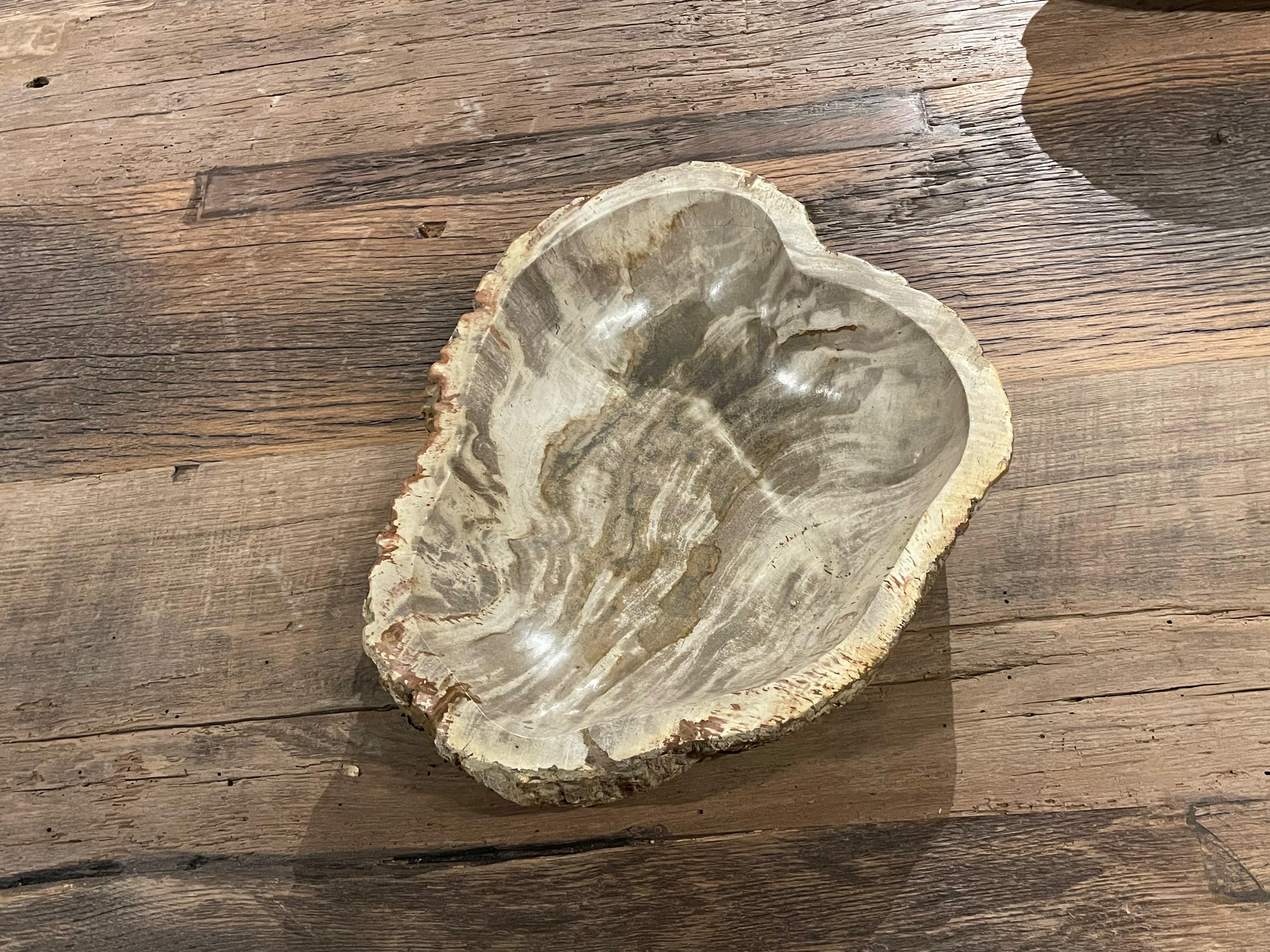 Taupe Shades Petrified Wood Bowl, Indonesia, Contemporary For Sale 1