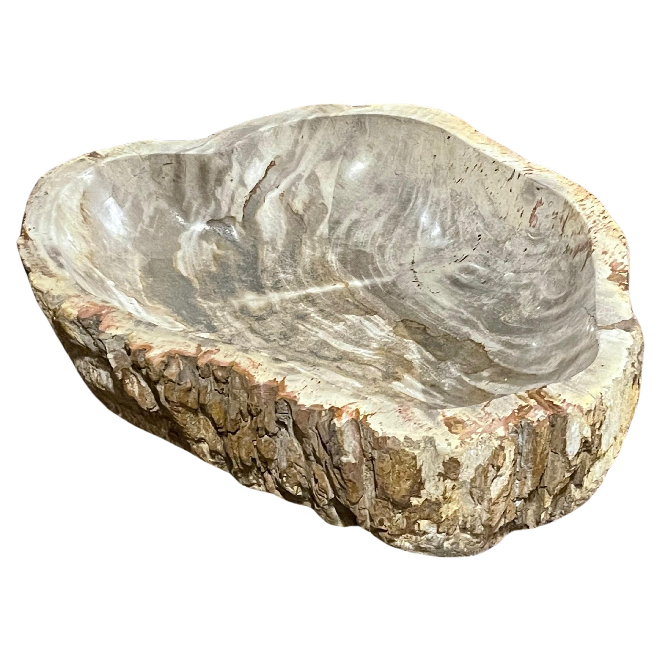 Taupe Shades Petrified Wood Bowl, Indonesia, Contemporary For Sale