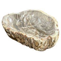 Taupe Shades Petrified Wood Bowl, Indonesia, Contemporary