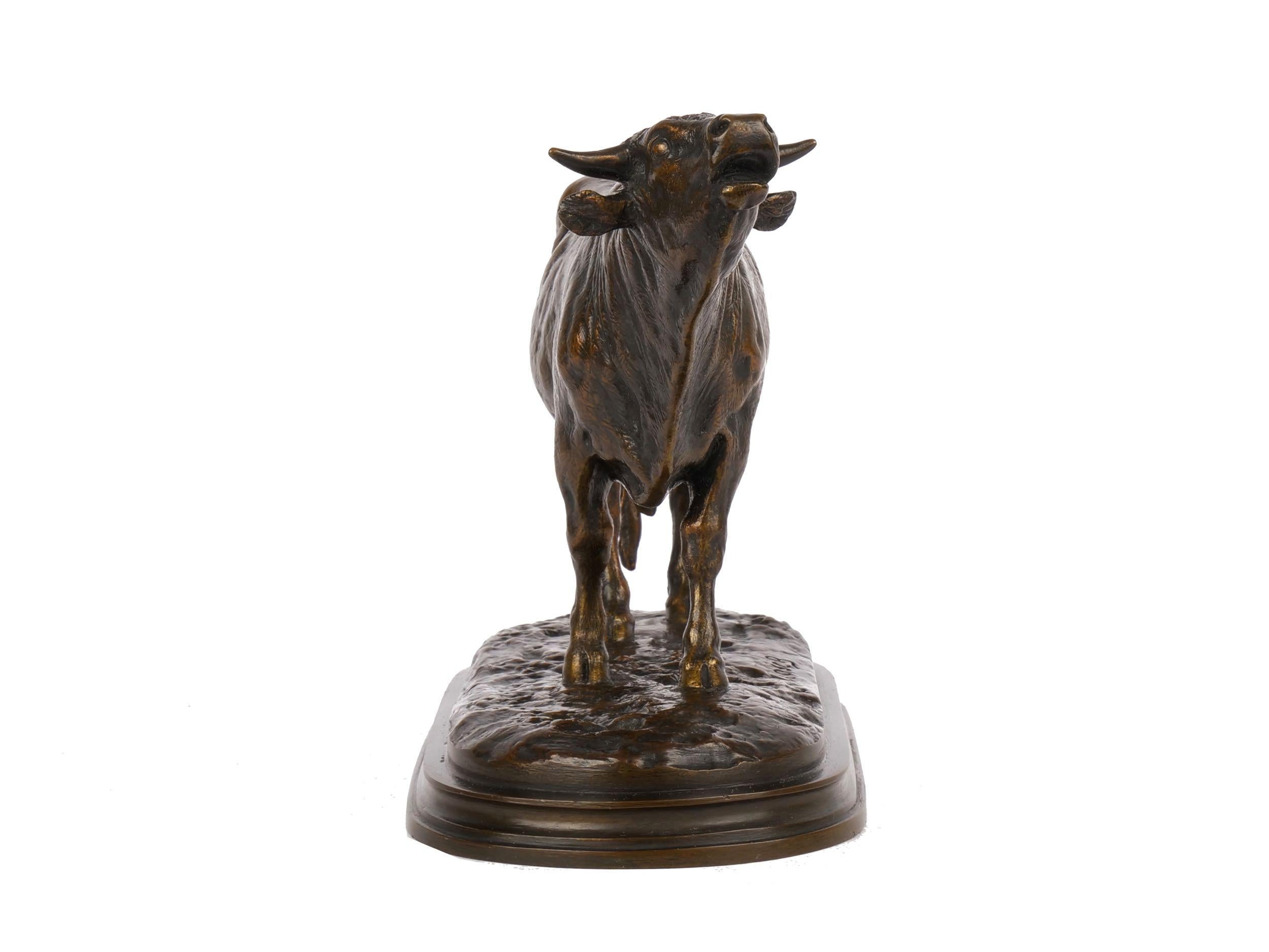 taureau rosa bonheur