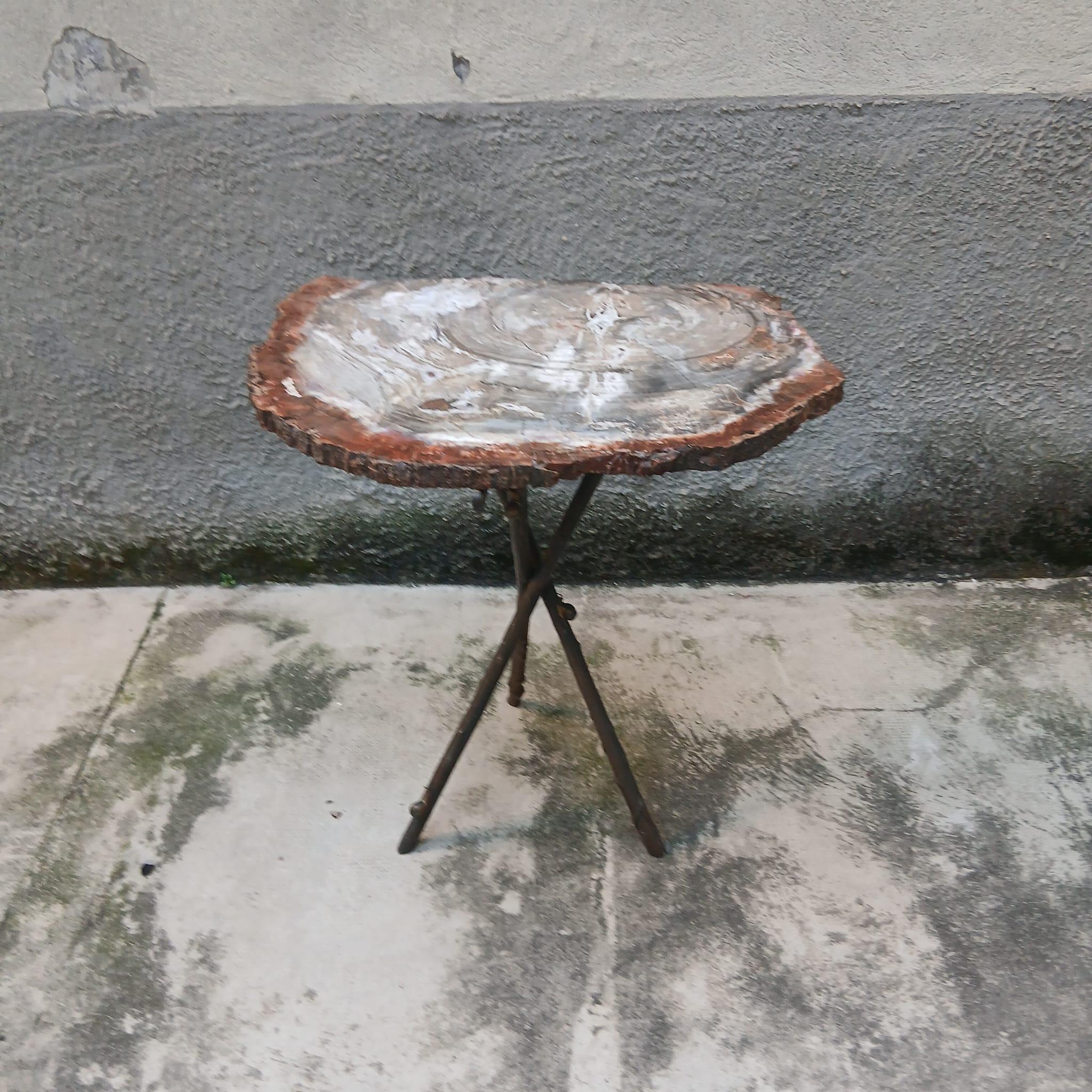 Tavolo Scultoreo in Legno Fossile e Bronzo - Pezzo Unico - Europa - Metà '900 For Sale 6