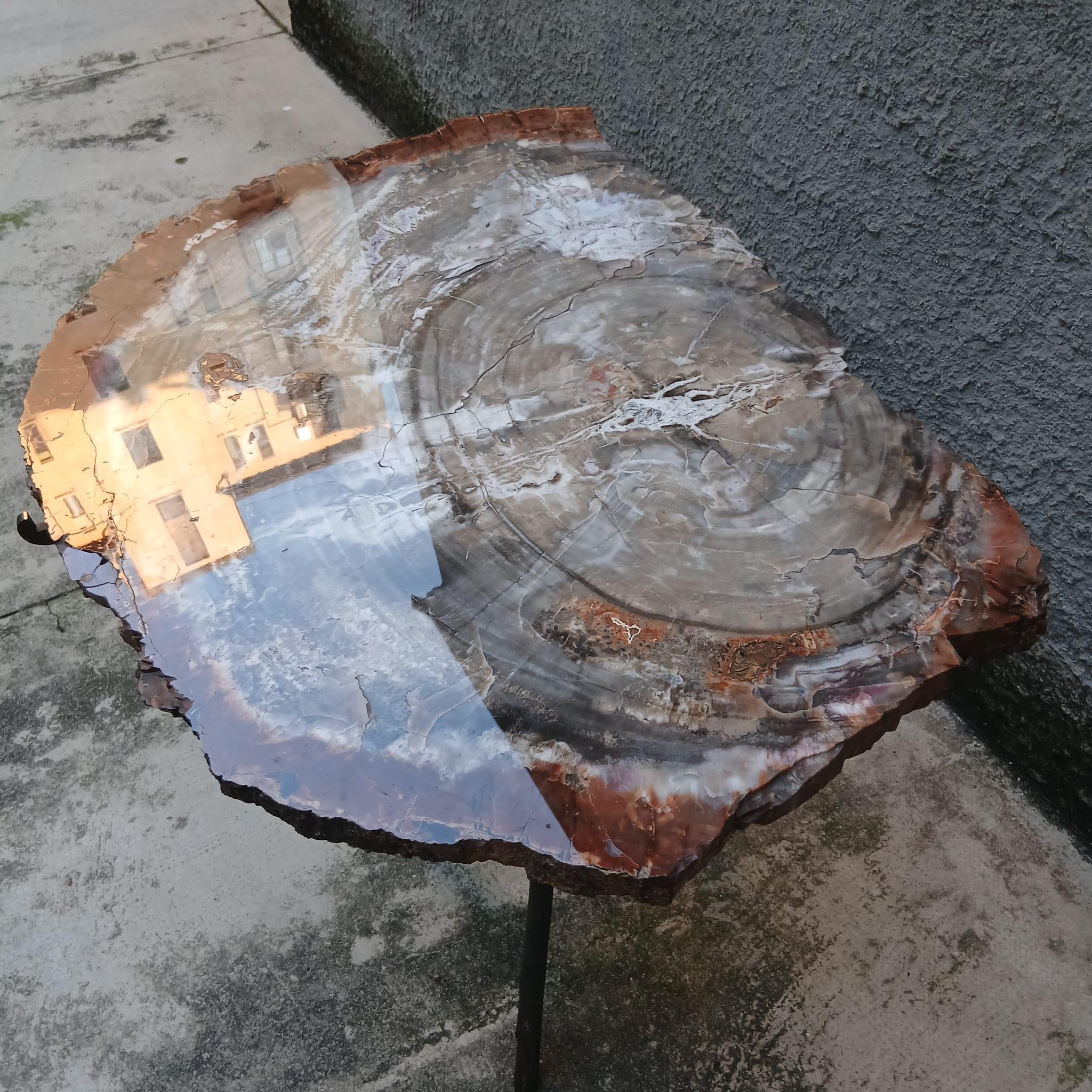 Tavolo Scultoreo in Legno Fossile e Bronzo - Pezzo Unico - Europa - Metà '900 For Sale 7