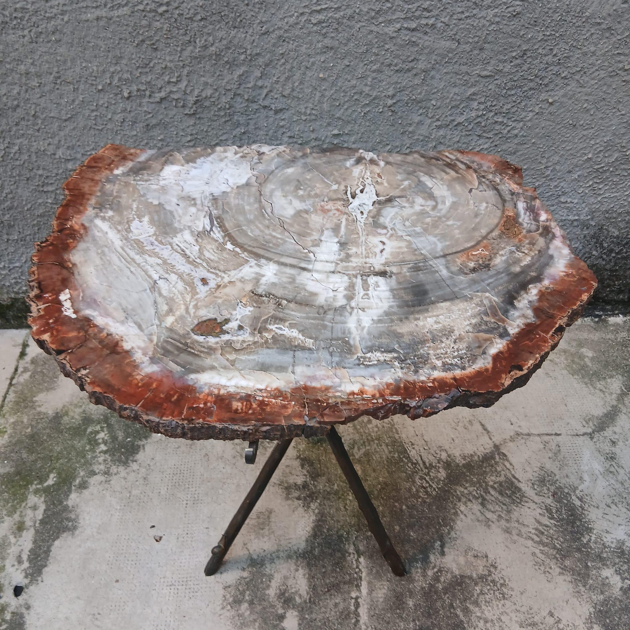 Tavolo Scultoreo in Legno Fossile e Bronzo - Pezzo Unico - Europa - Metà '900 For Sale 8