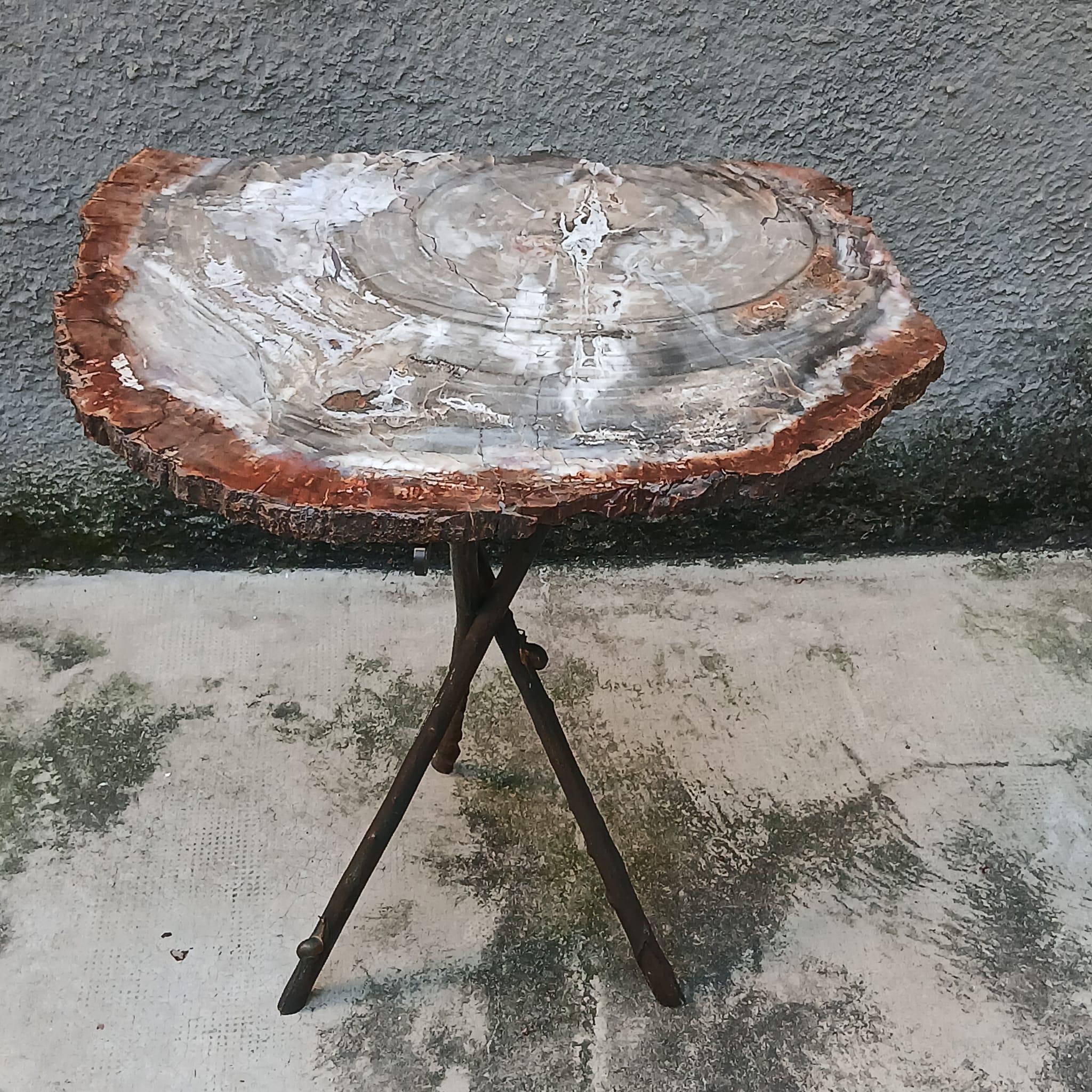 French Tavolo Scultoreo in Legno Fossile e Bronzo - Pezzo Unico - Europa - Metà '900 For Sale