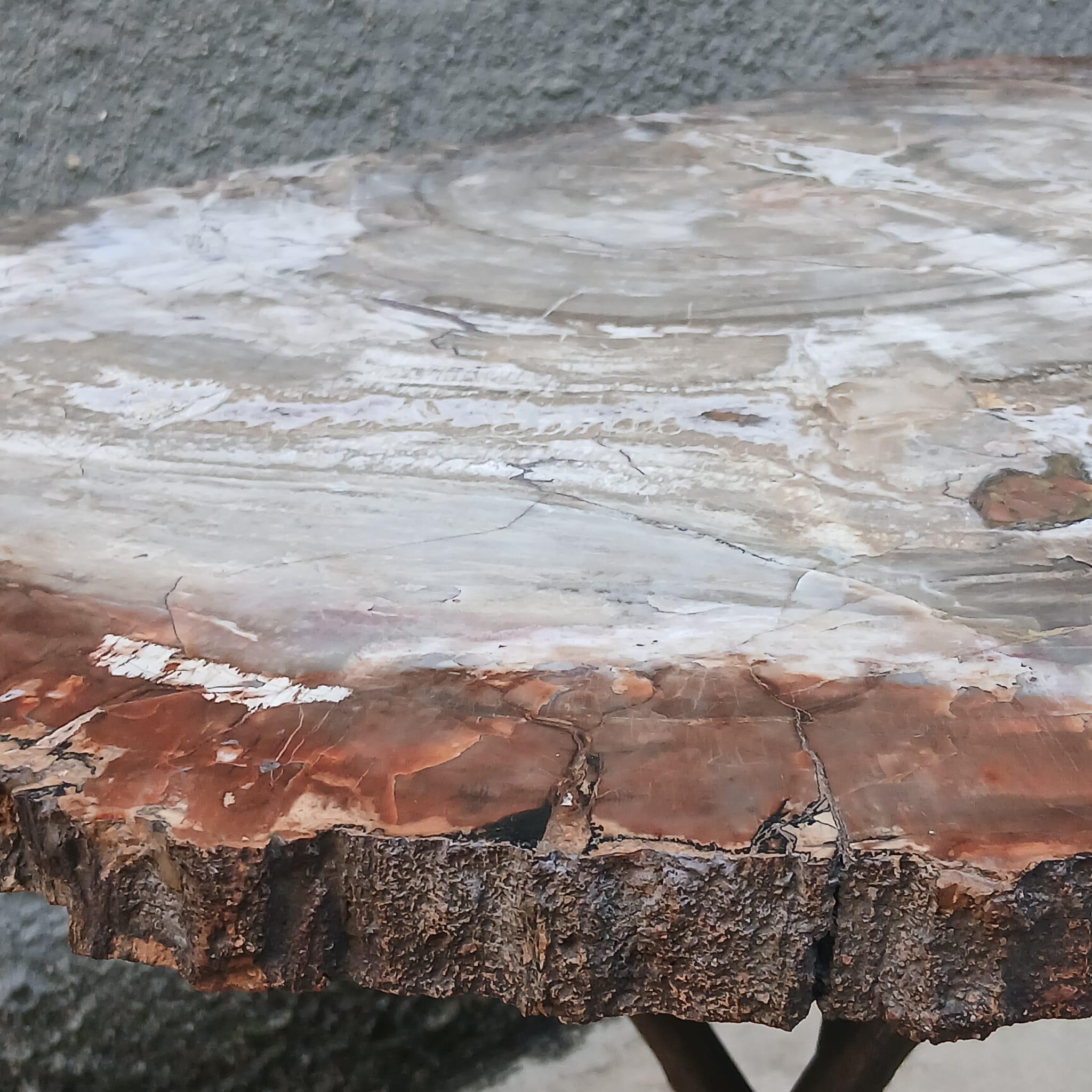 Tavolo Scultoreo in Legno Fossile e Bronzo - Pezzo Unico - Europa - Metà '900 In Good Condition For Sale In Milano, IT