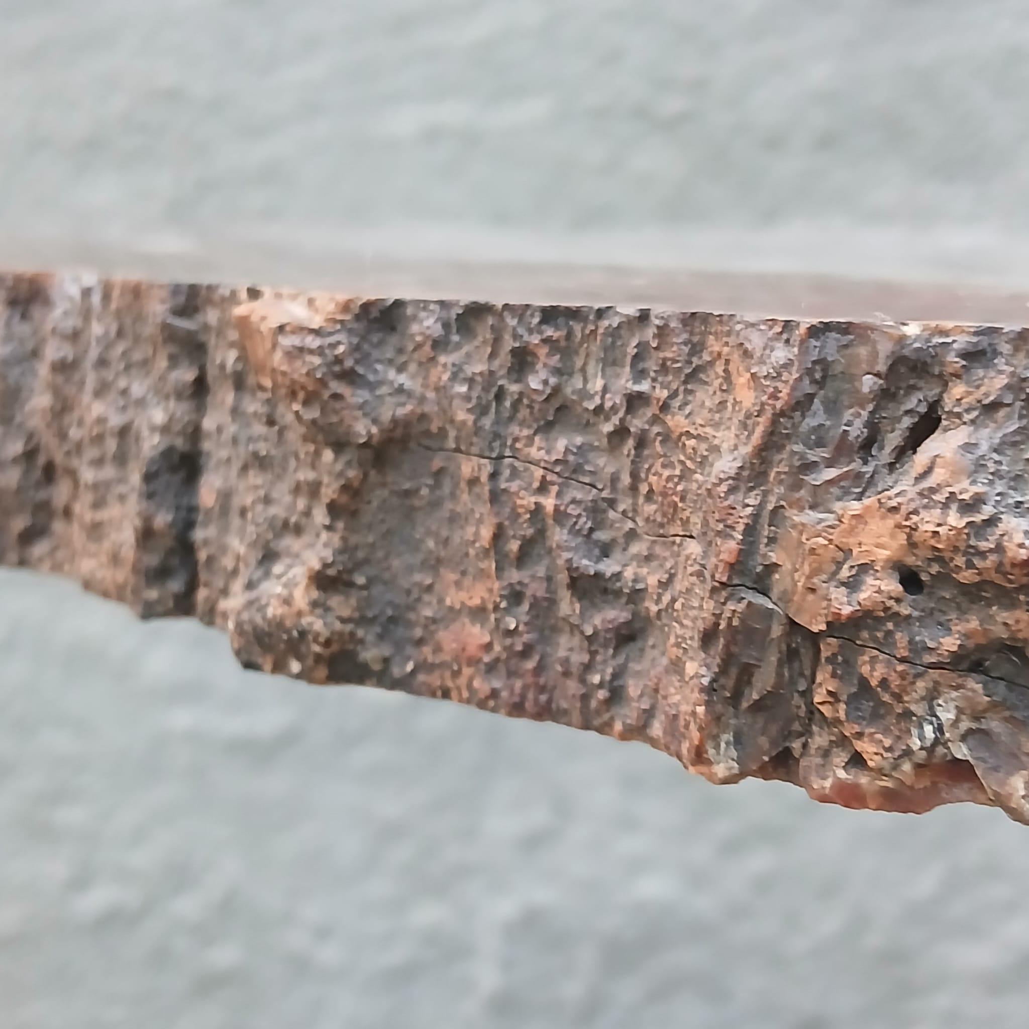 20th Century Tavolo Scultoreo in Legno Fossile e Bronzo - Pezzo Unico - Europa - Metà '900 For Sale