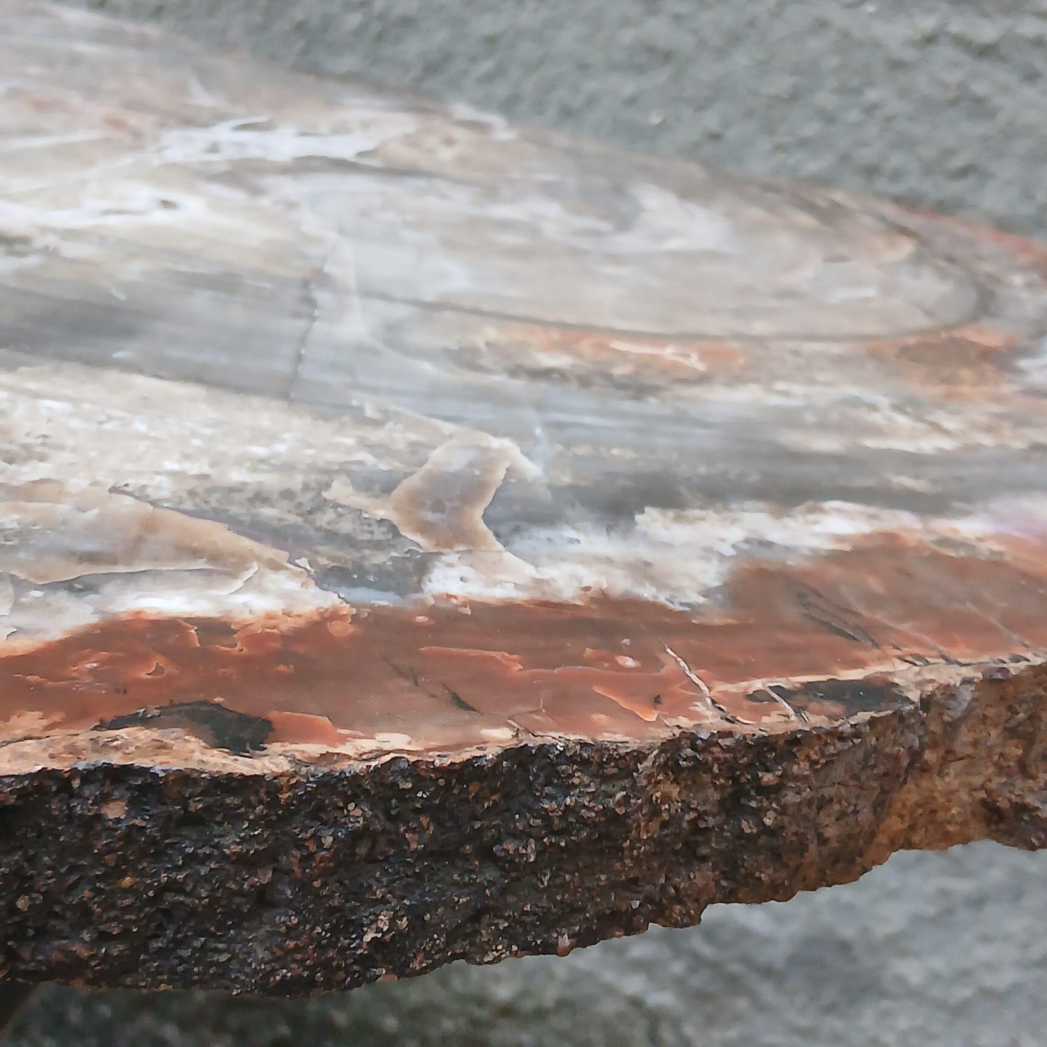 Brass Tavolo Scultoreo in Legno Fossile e Bronzo - Pezzo Unico - Europa - Metà '900 For Sale