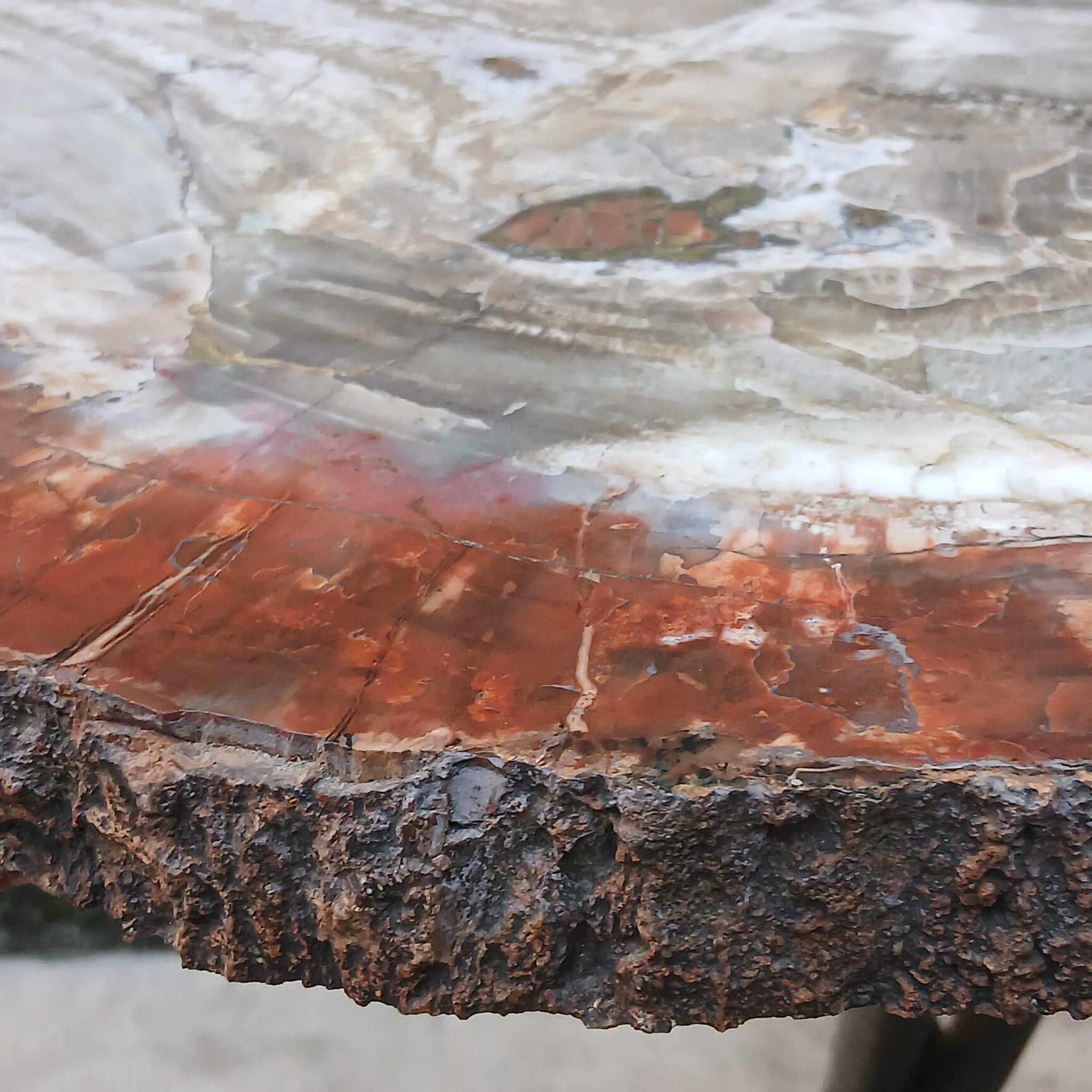 Tavolo Scultoreo in Legno Fossile e Bronzo - Pezzo Unico - Europa - Metà '900 For Sale 1